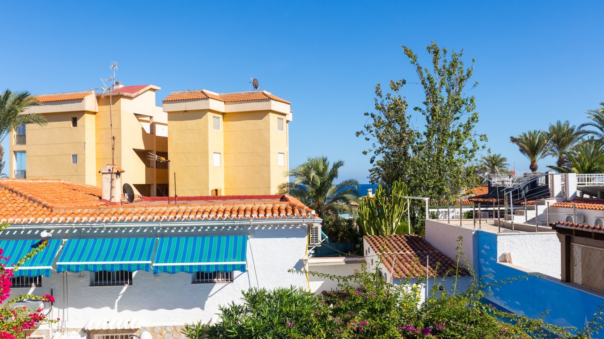 Revente - Appartement - Punta Prima - rocio del mar