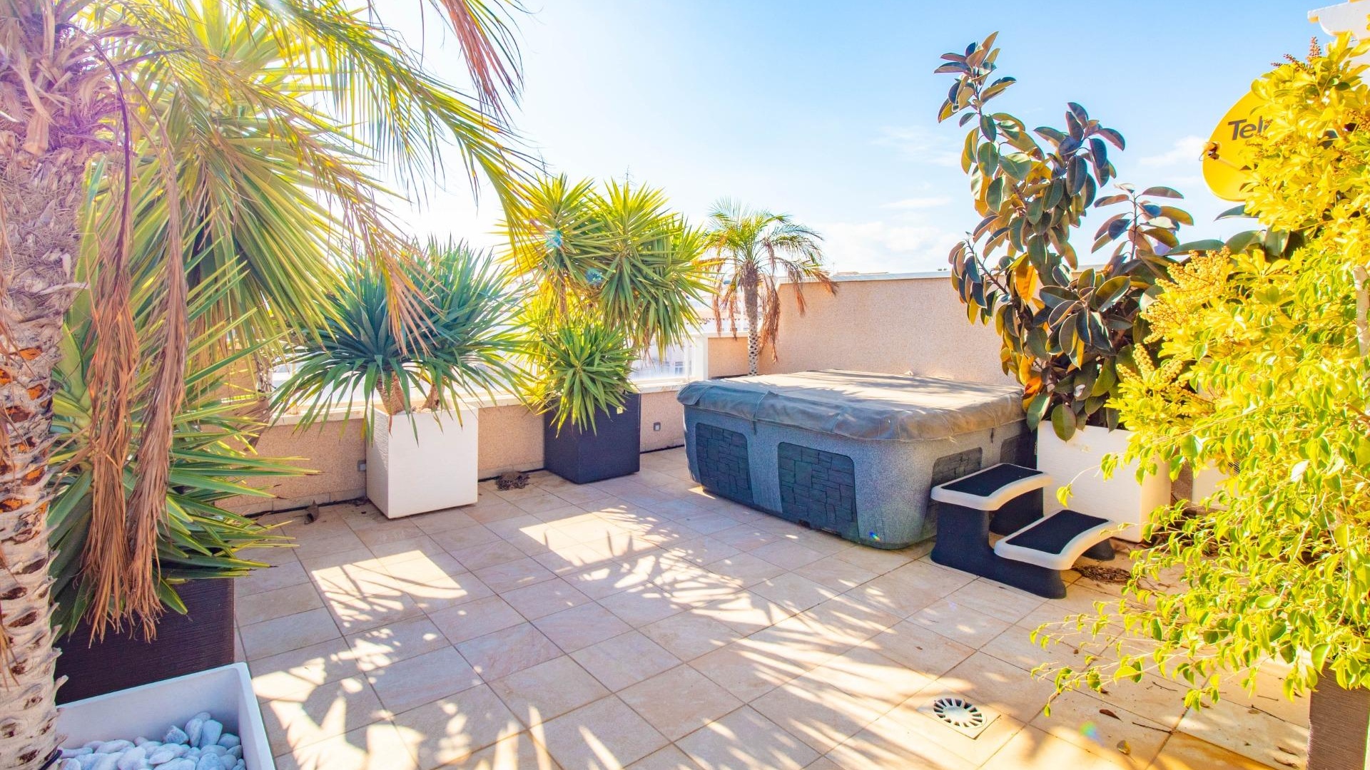 Revente - Appartement - Punta Prima - vista azul