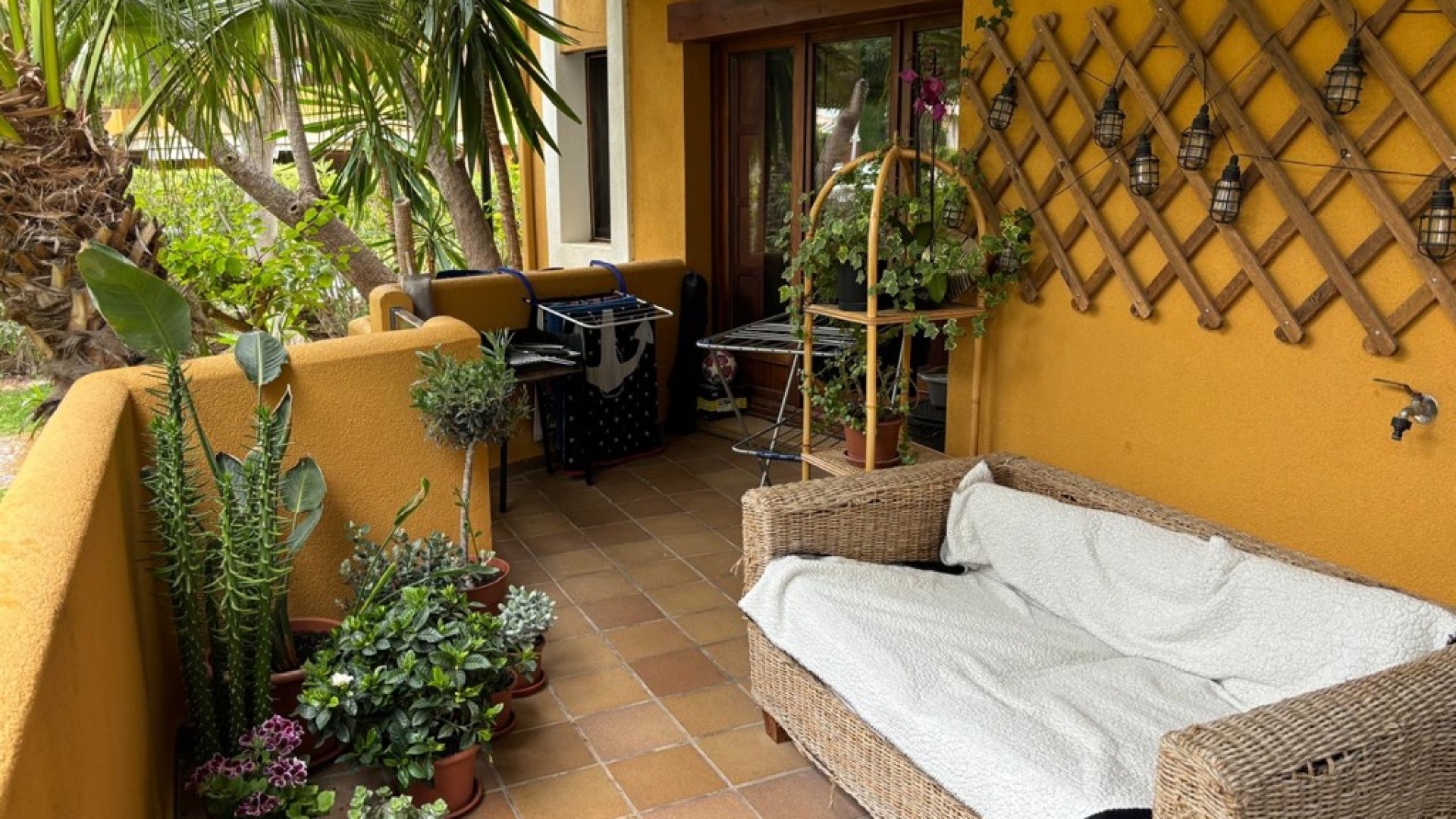 Revente - Appartement - Punta Prima