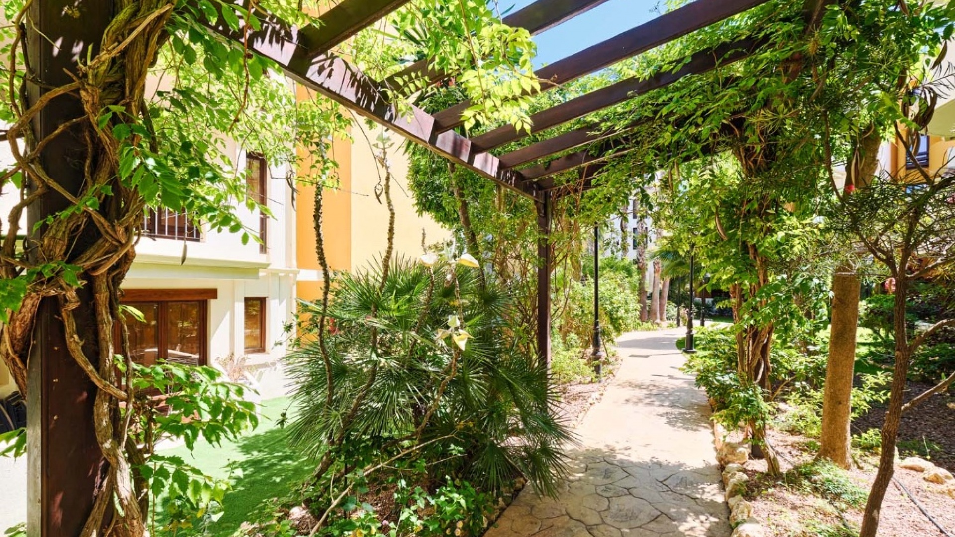 Revente - Appartement - Punta Prima