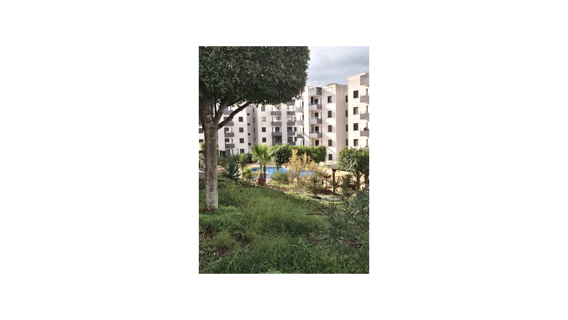 Revente - Appartement - San Miguel de Salinas - Res. Angelina