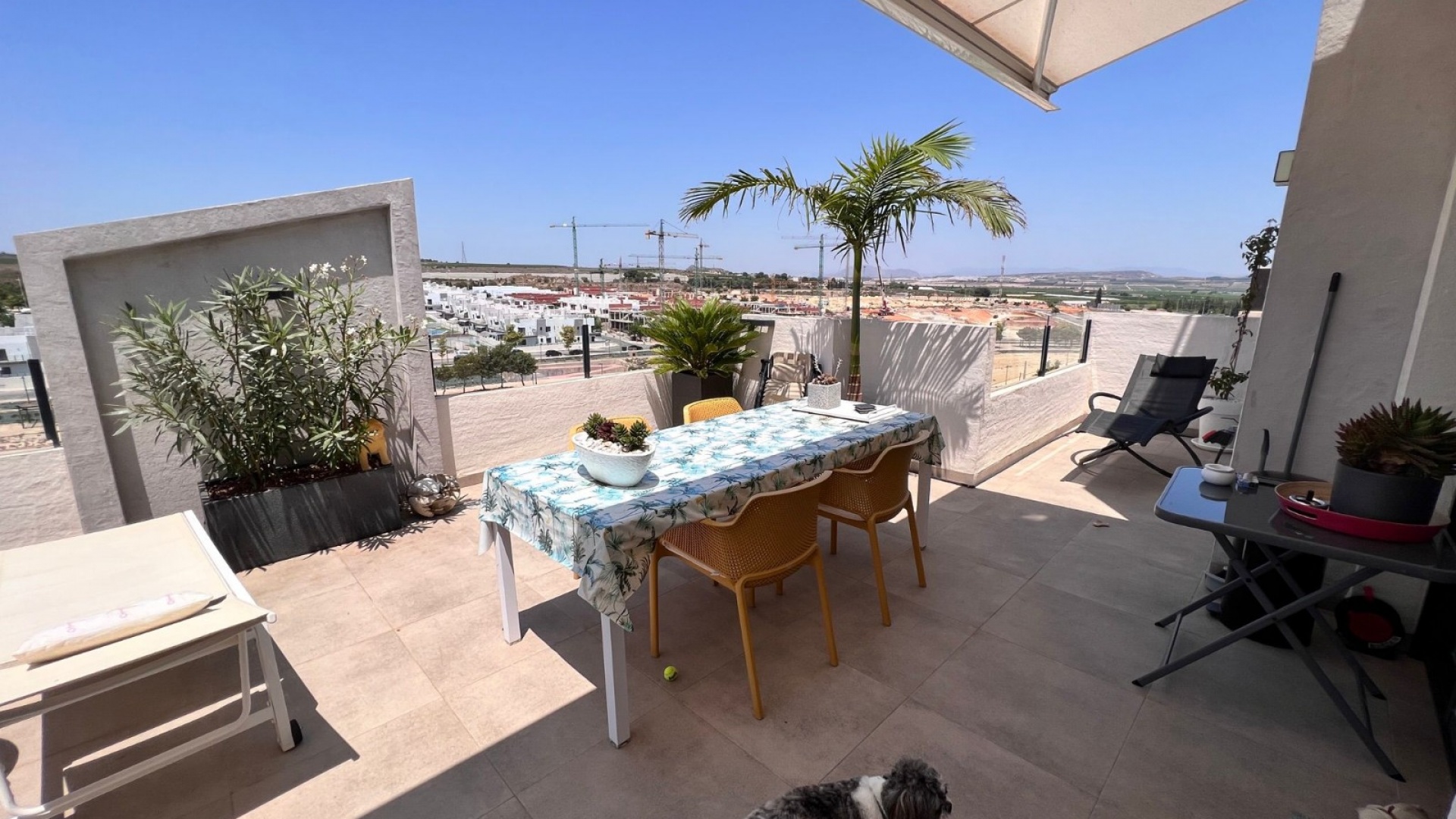 Revente - Appartement - San Miguel de Salinas - San Miguel De Salinas