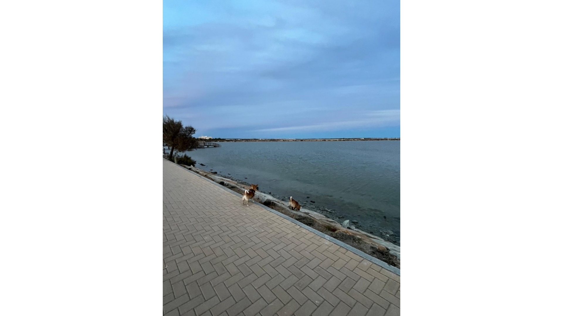 Revente - Appartement - San Pedro del Pinatar - Lo Pagan