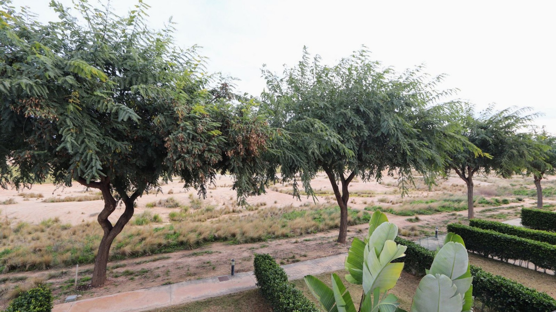 Revente - Appartement - Torre-Pacheco - Las Terrazas de La Torre Golf Resort