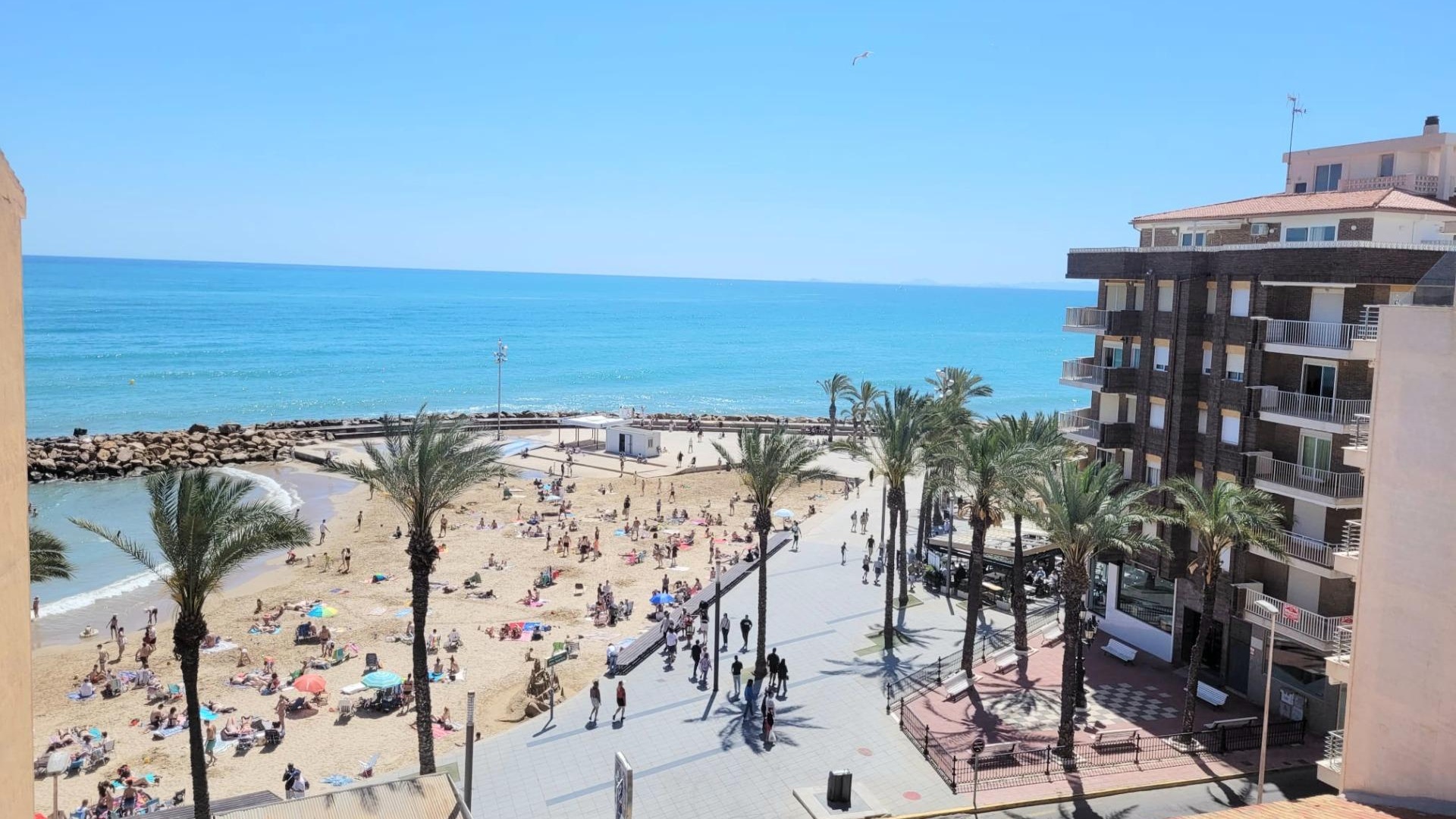 Revente - Appartement - Torrevieja - Beachside Torrevieja