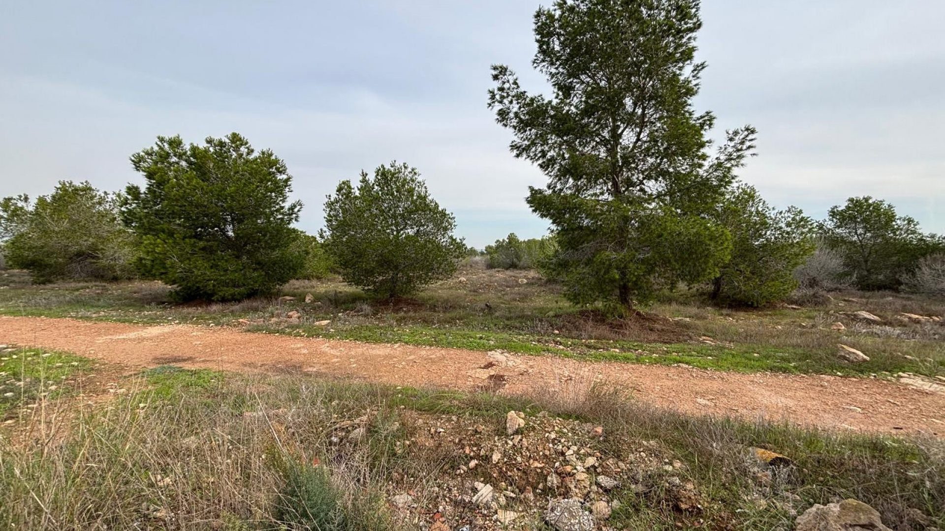 Revente - Appartement - Torrevieja - la siesta