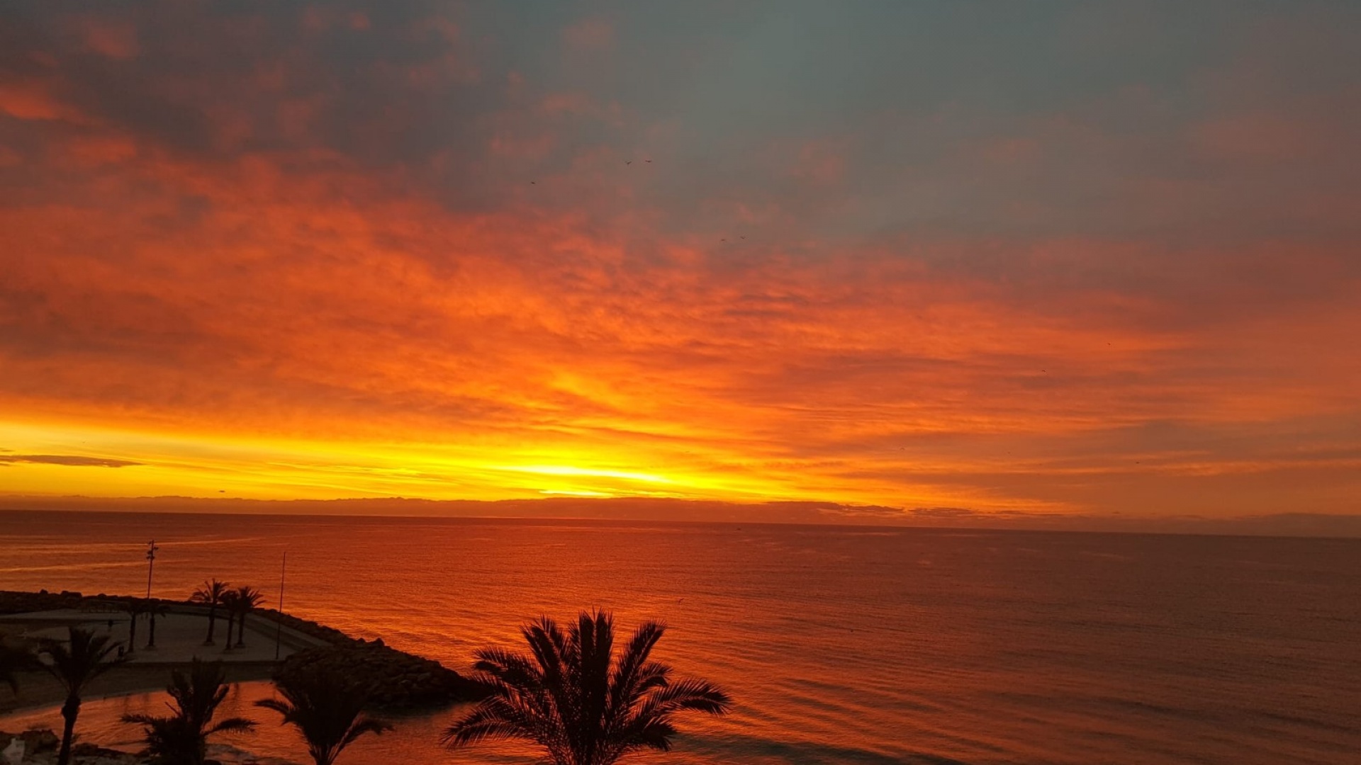 Revente - Appartement - Torrevieja - Playa Del Cura