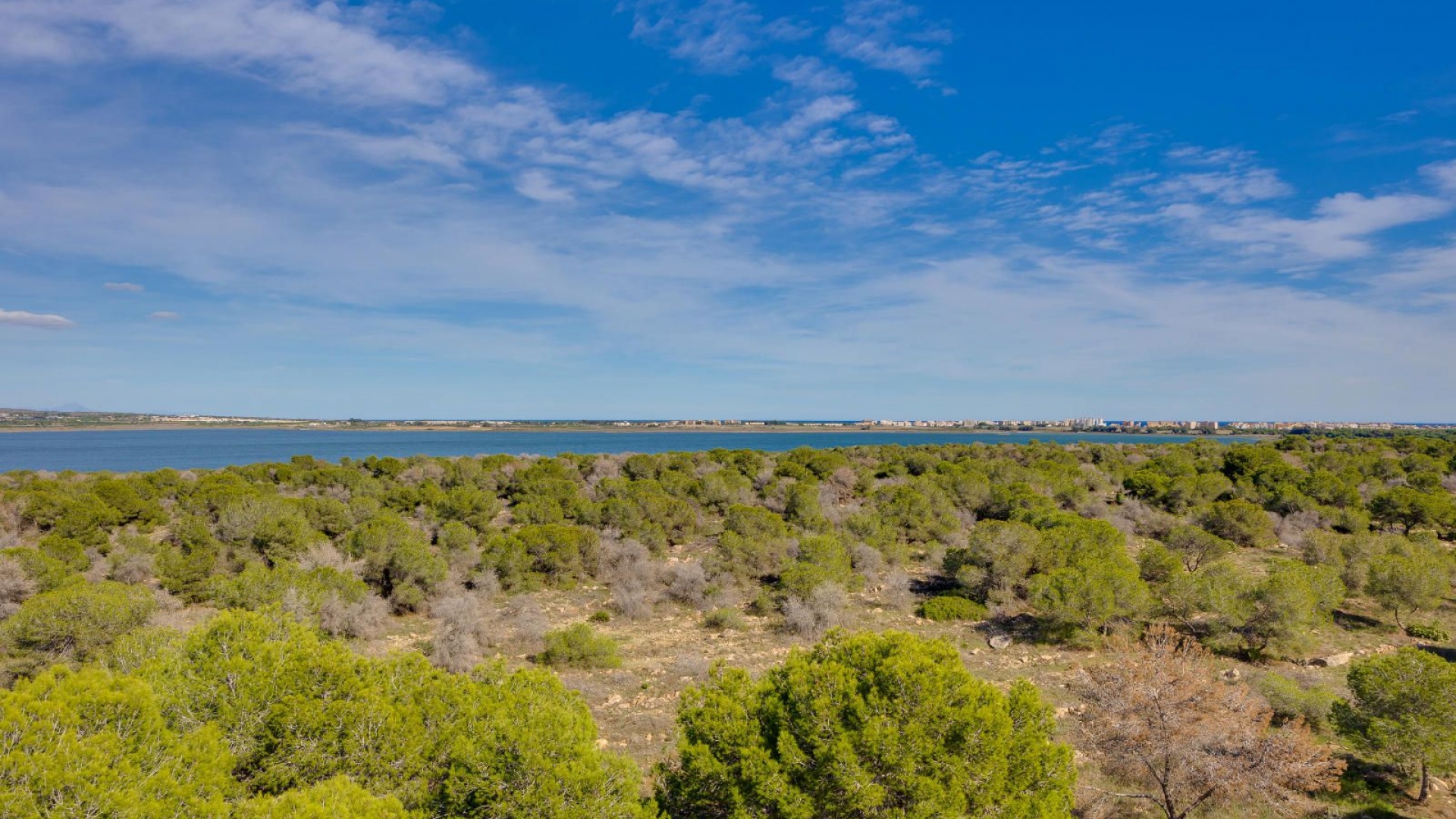 Revente - Appartement - Torrevieja - san luis