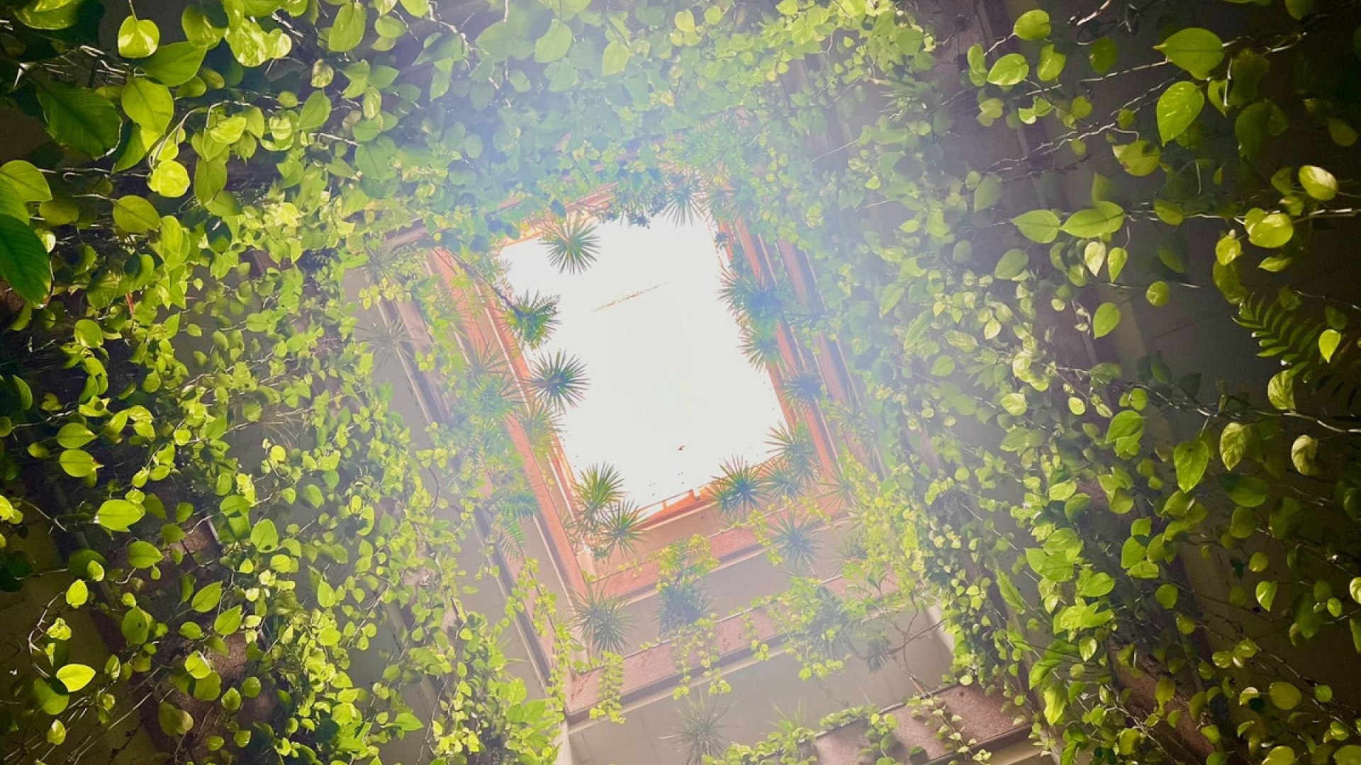 Revente - Appartement - Torrevieja - Torrevieja Centro