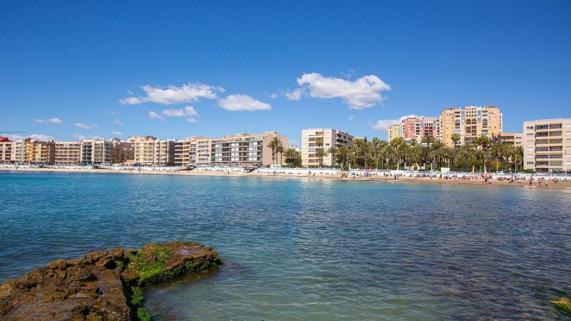 Revente - Appartement - Torrevieja - Torrevieja Centro