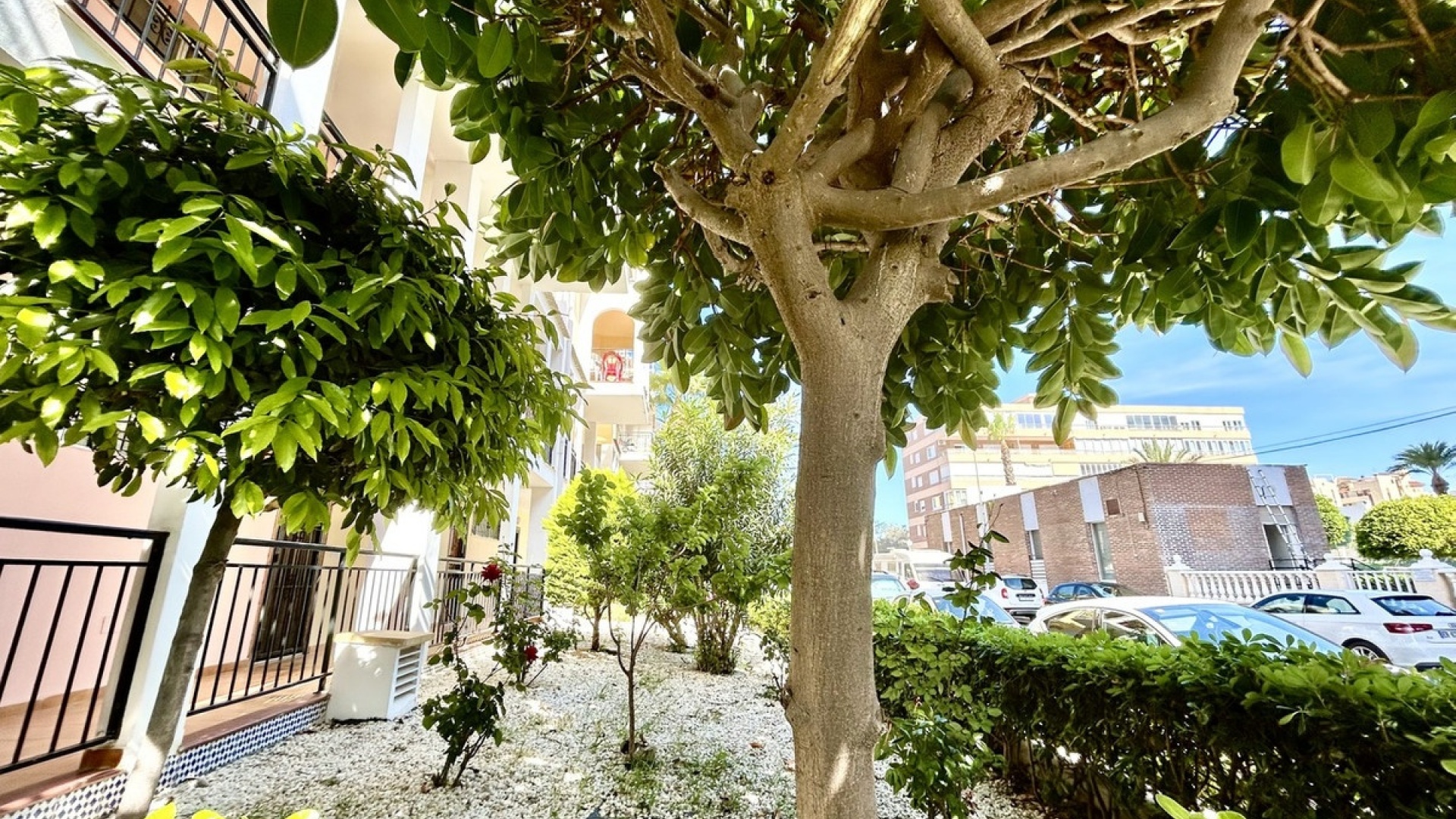 Revente - Appartement - Torrevieja - Torrevieja Centro