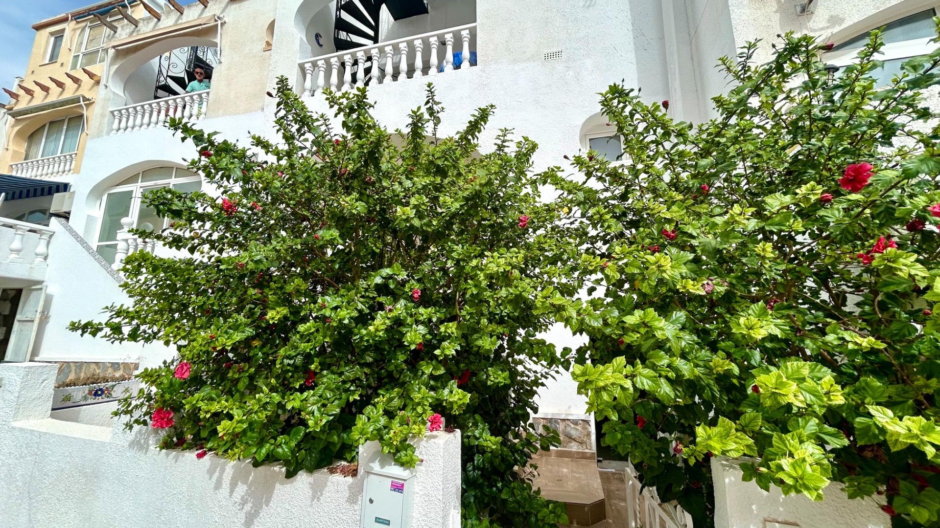 Revente - Appartement - Villamartin - blue hills