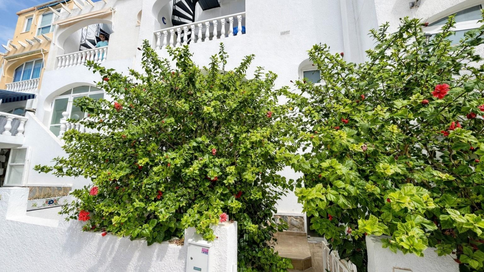 Revente - Appartement - Villamartin - blue hills