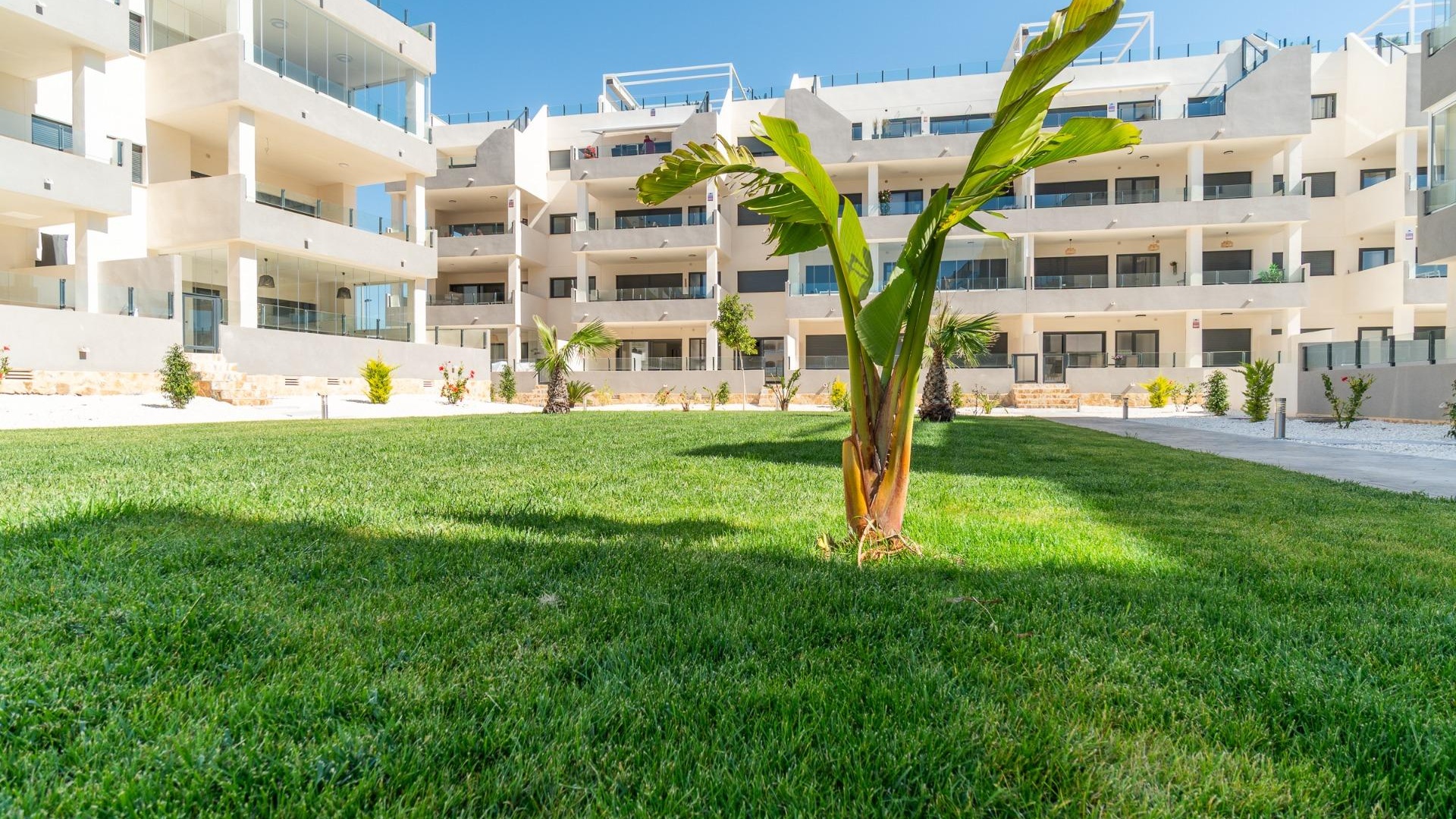 Revente - Appartement - Villamartin - Los Dolses