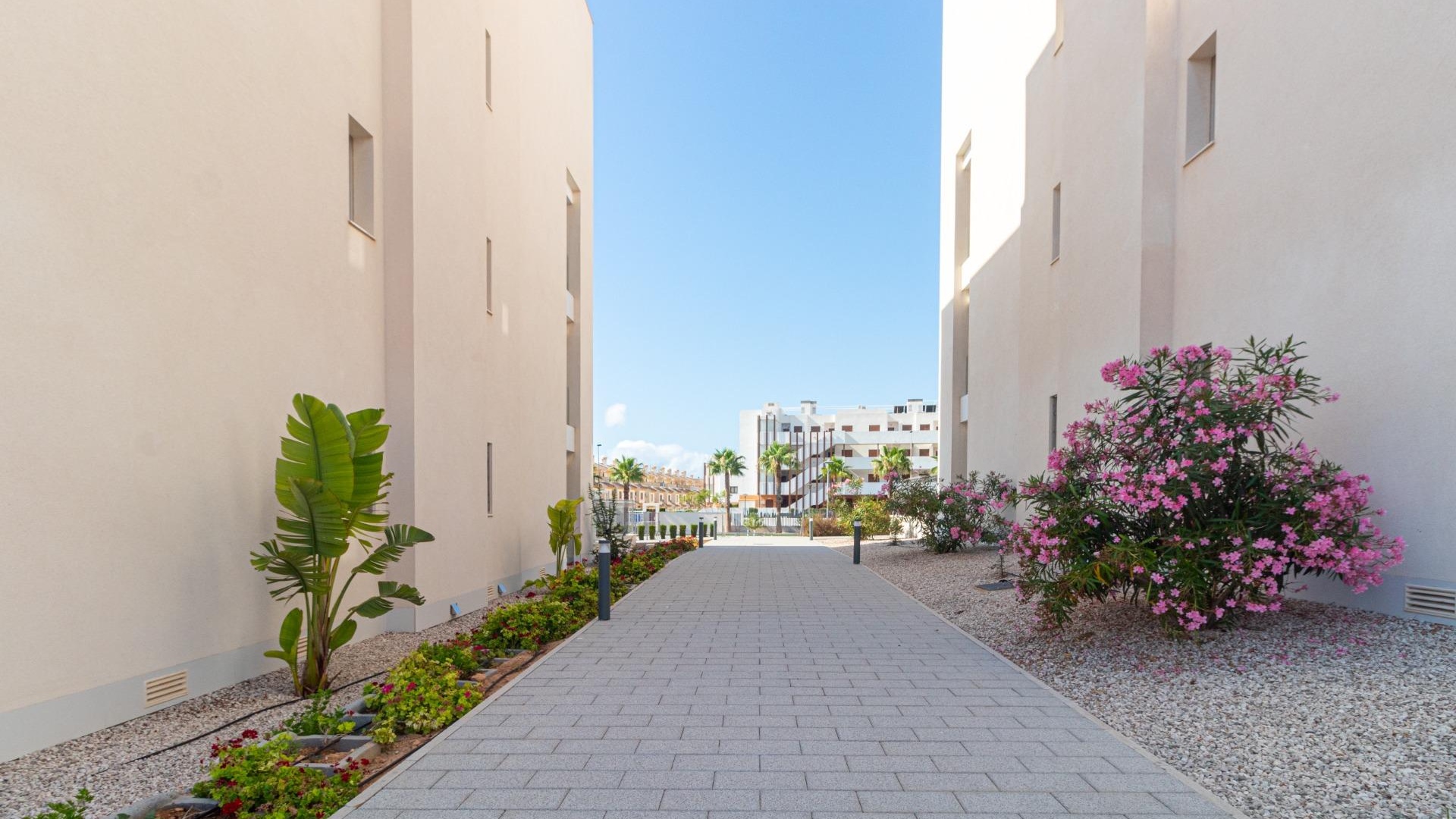 Revente - Appartement - Villamartin - Los Dolses