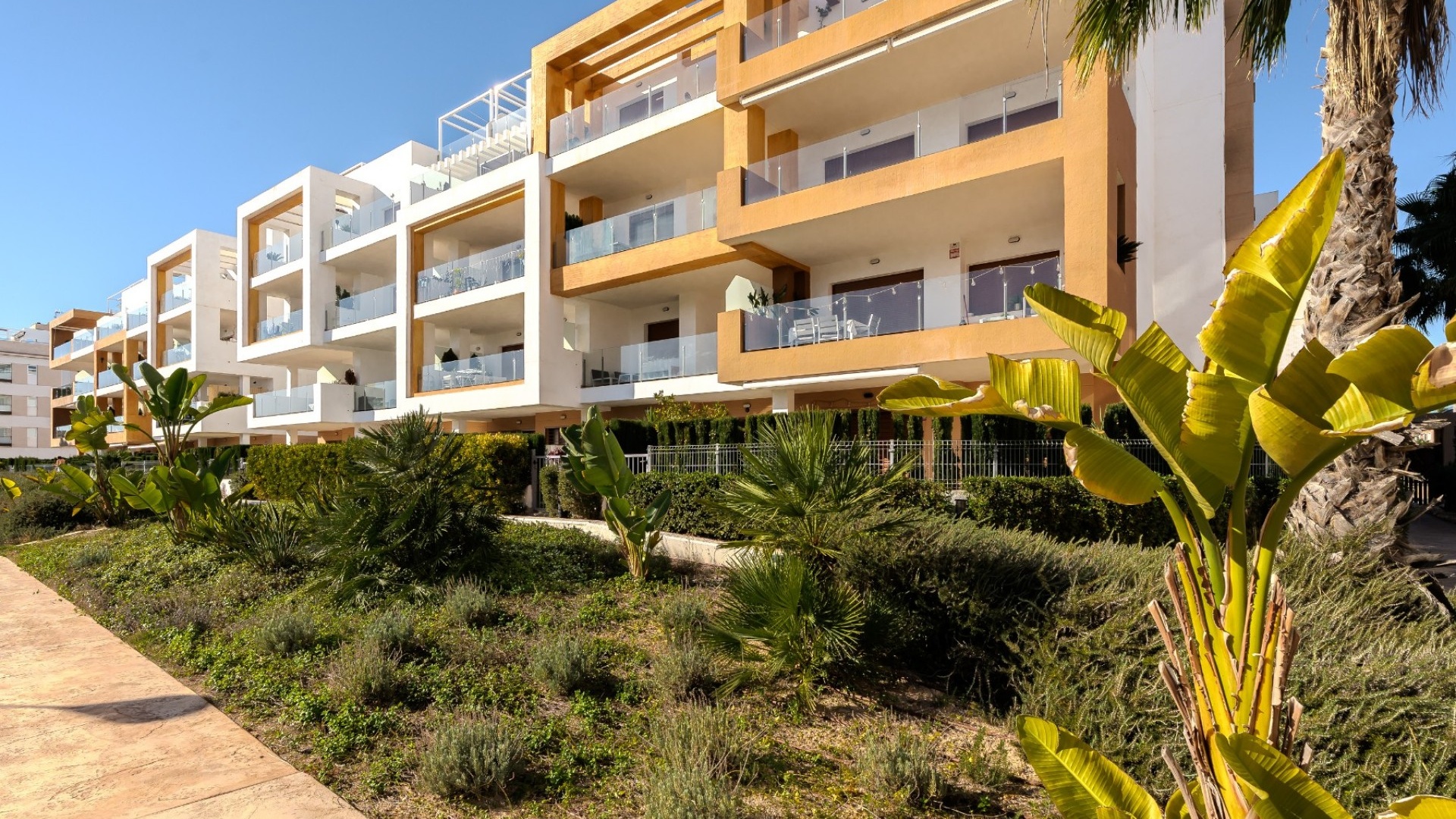 Revente - Appartement - Villamartin - Los Dolses