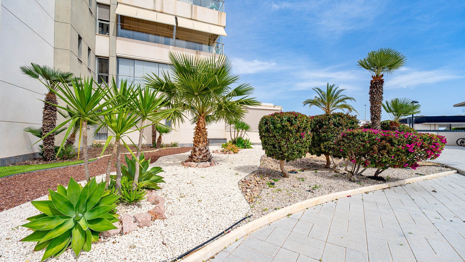 Revente - Appartement - Villamartin - Los Dolses