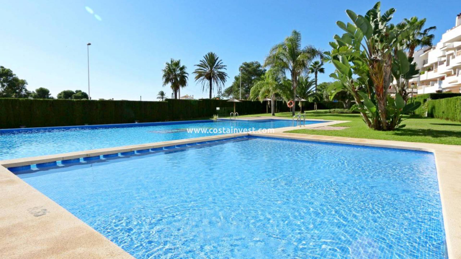 Revente - Appartement - Villamartin - Los Dolses