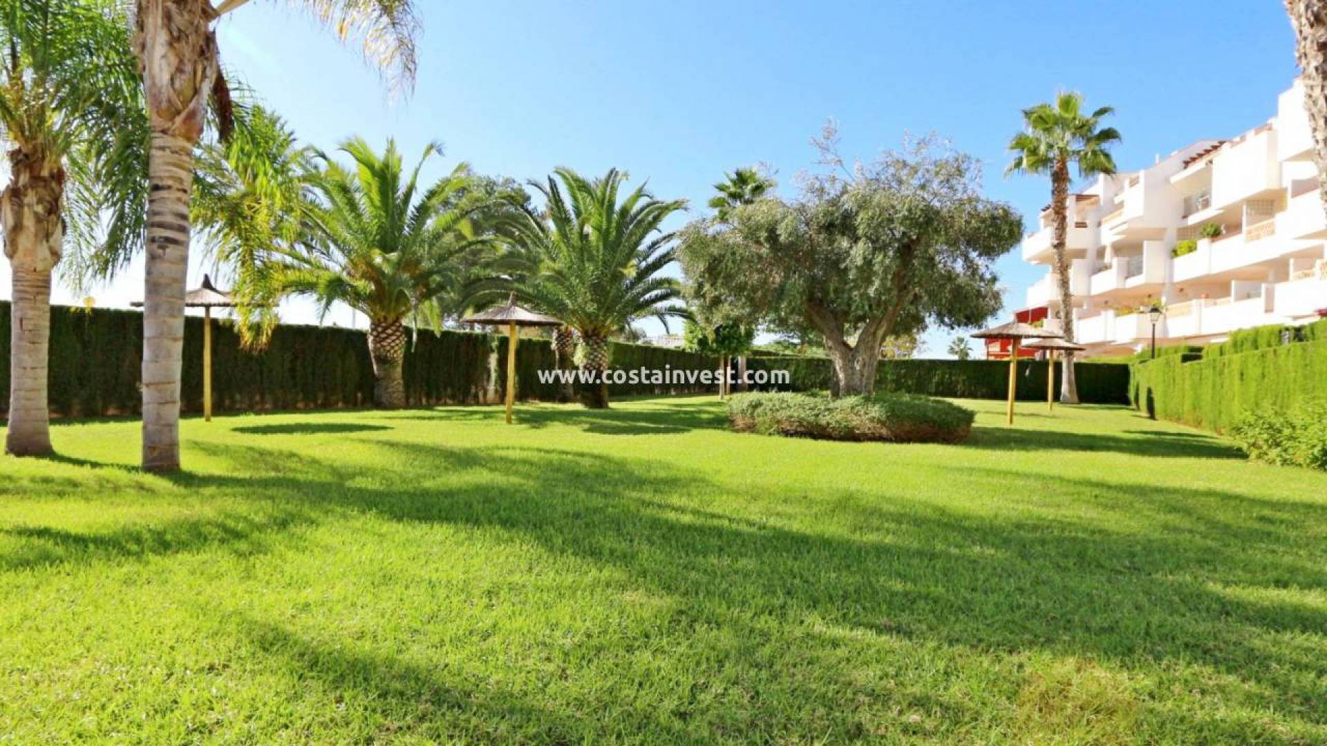 Revente - Appartement - Villamartin - Los Dolses