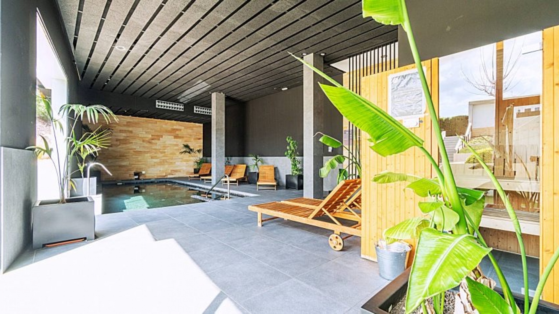 Revente - Appartement - Villamartin - Los Dolses