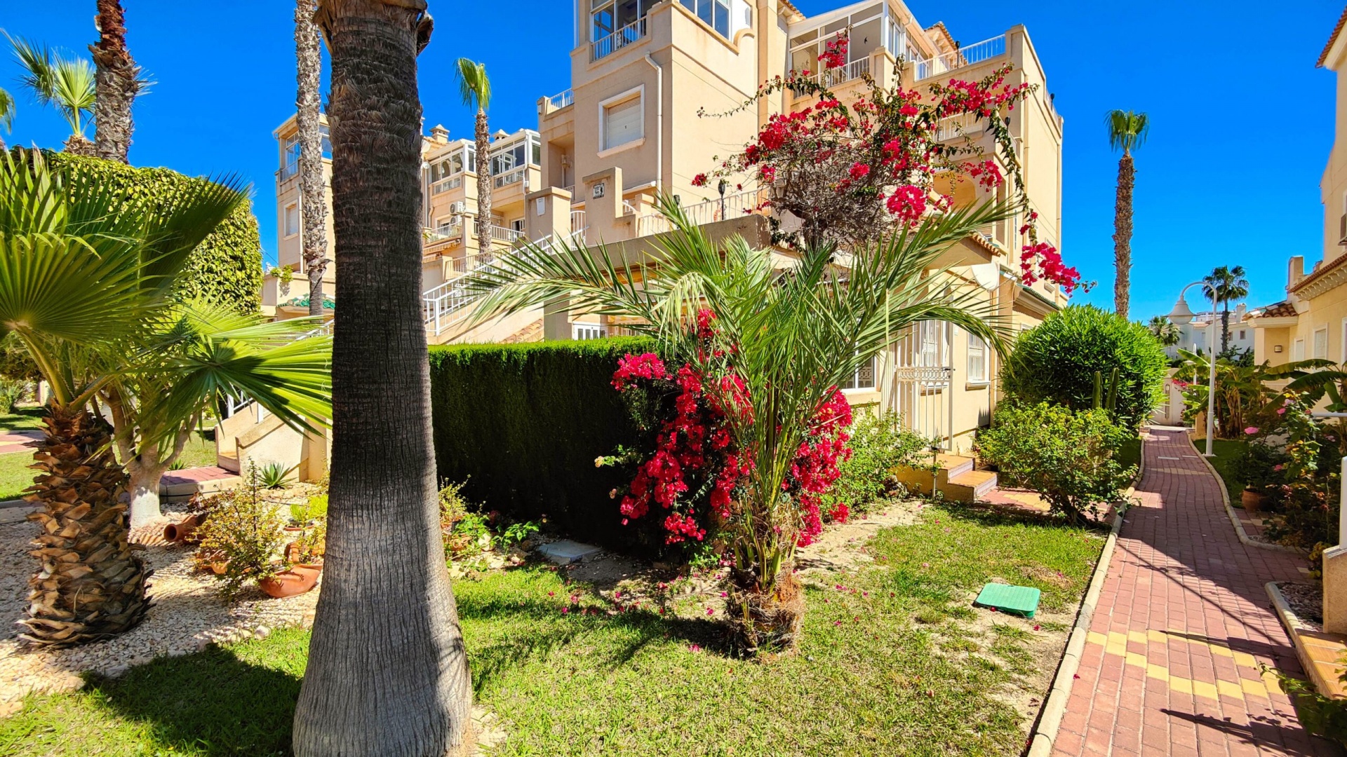 Revente - Bungalow - Playa Flamenca - miraflores