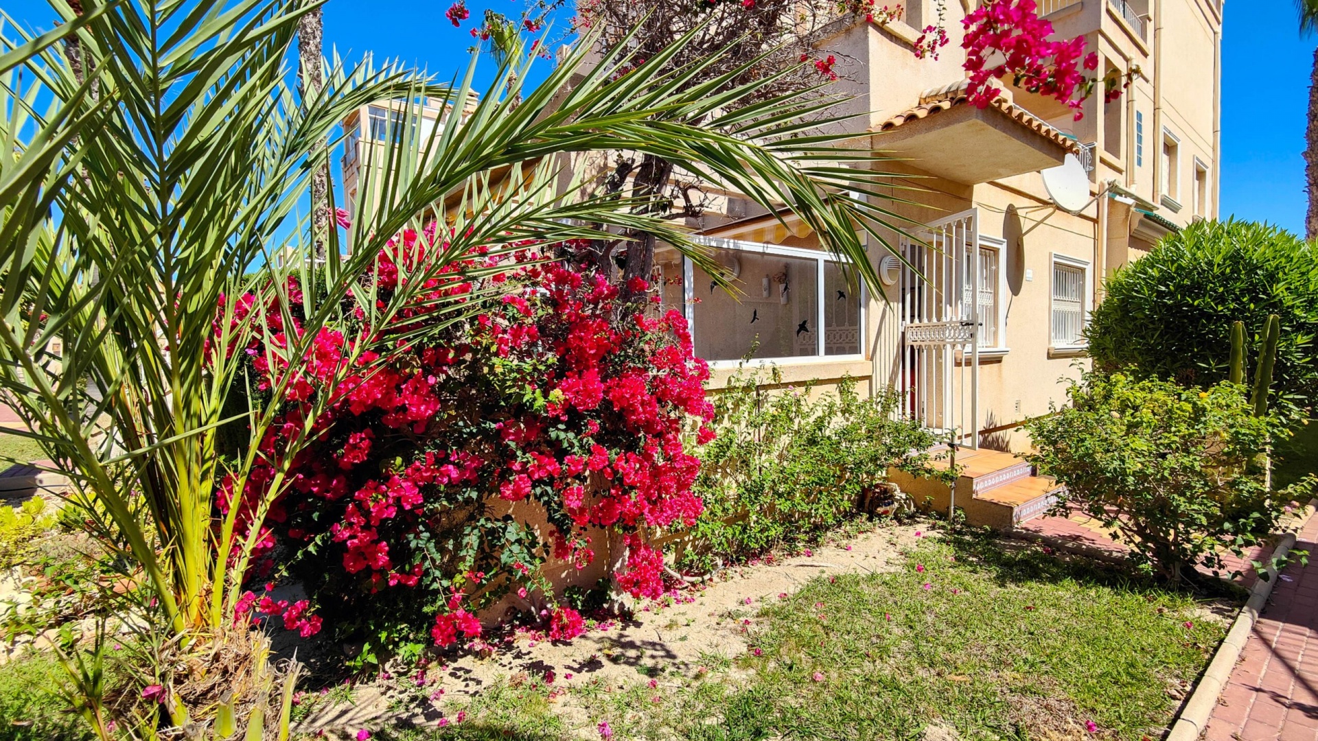 Revente - Bungalow - Playa Flamenca - miraflores