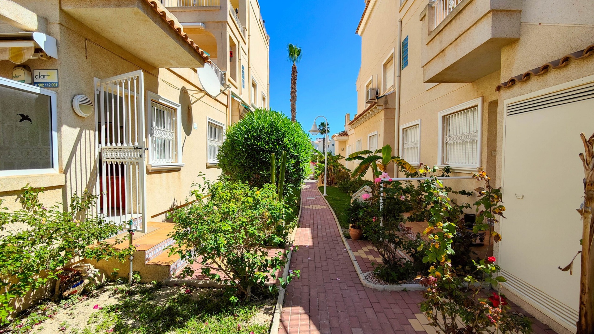 Revente - Bungalow - Playa Flamenca - miraflores