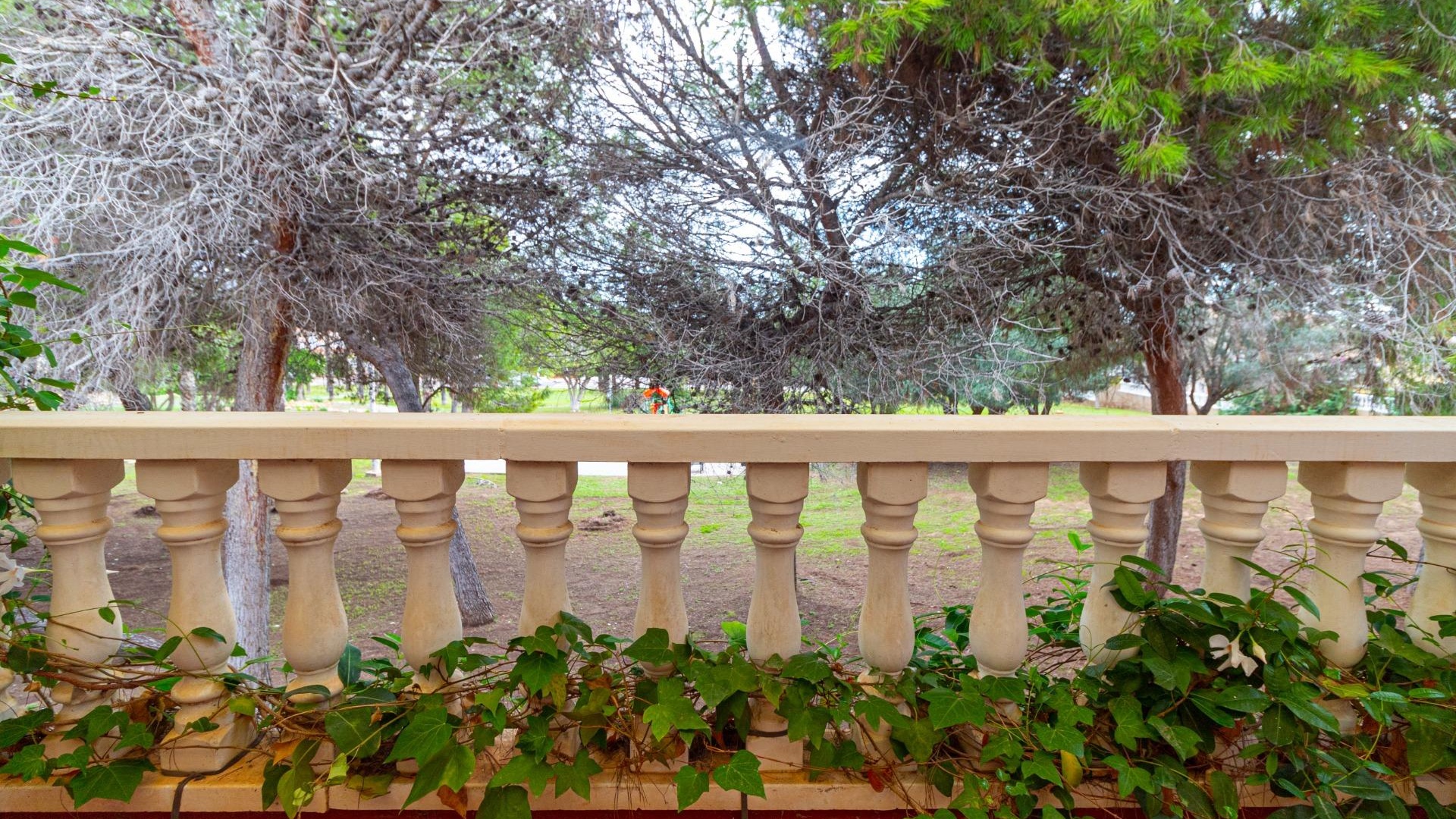 Revente - Bungalow - Punta Prima - serena