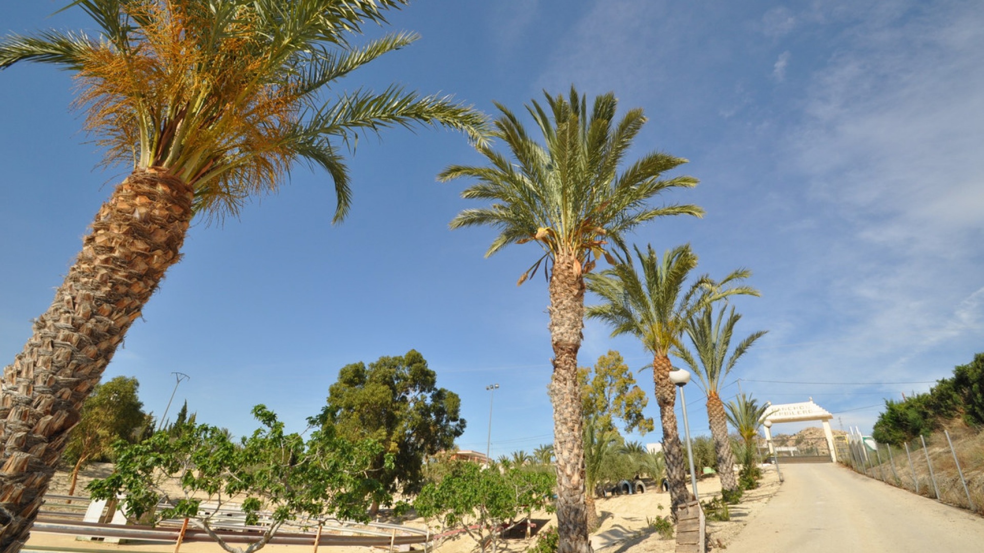 Revente - Commercial - Abanilla - Abanilla Centro