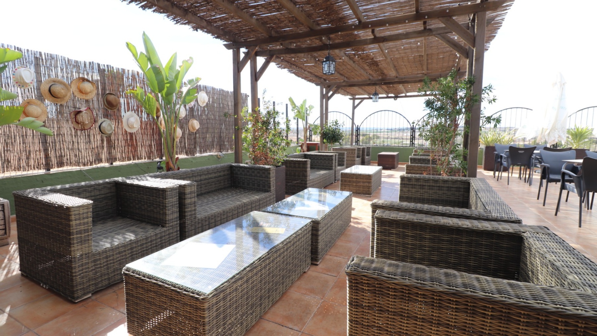 Revente - Commercial - Ciudad Quesada - Ciudad Quesada - Town