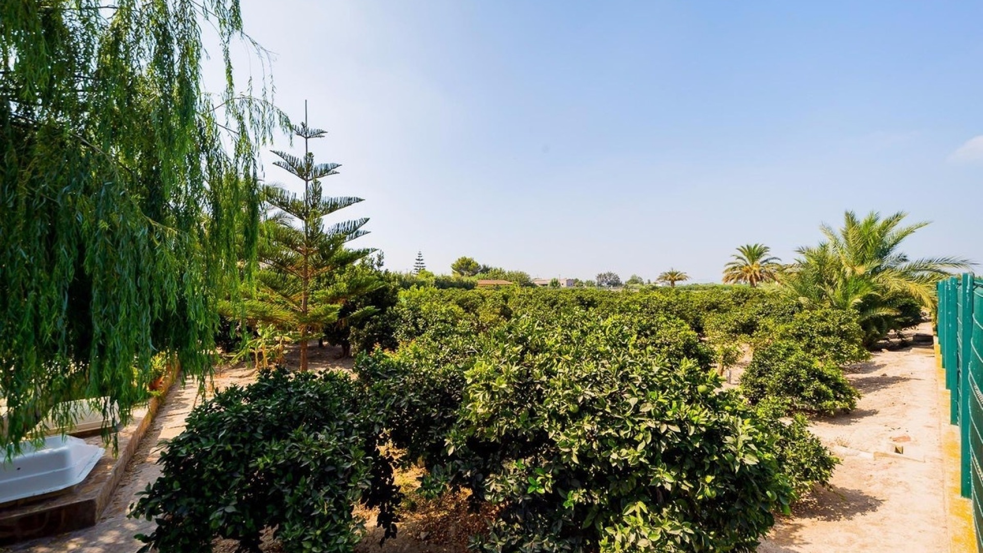 Revente - Country Property - Almoradi - Almoradi Centro