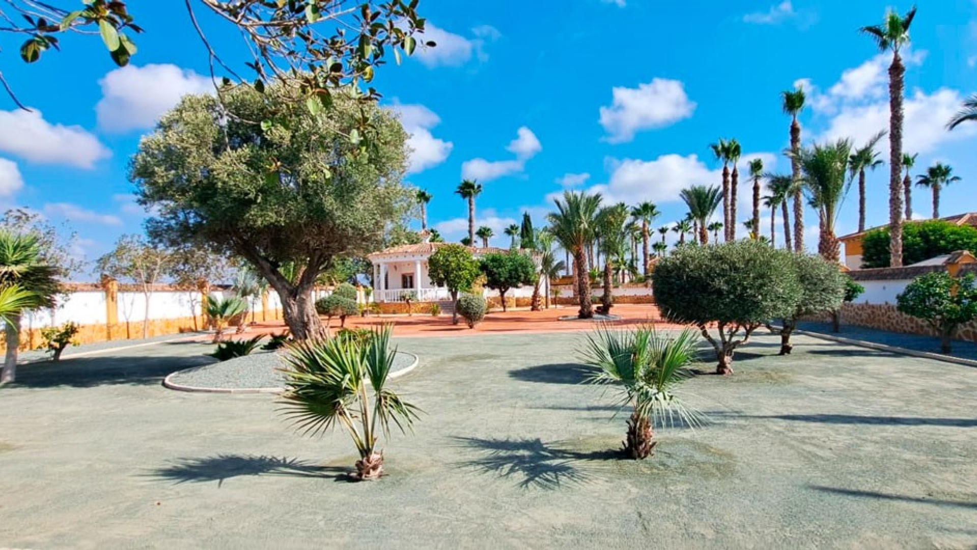 Revente - Country Property - Catral - Catral - Country