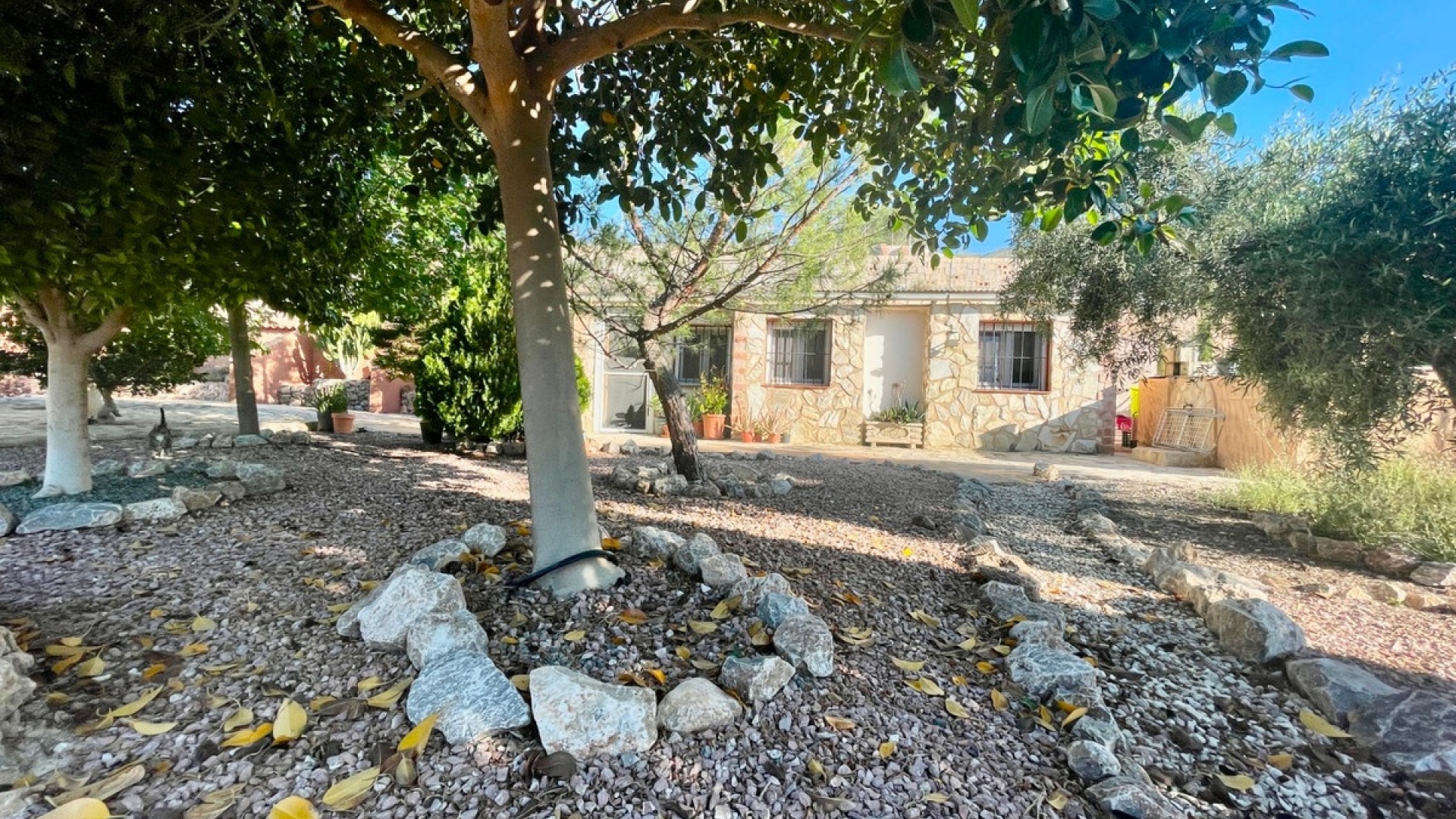 Revente - Country Property - Crevillente