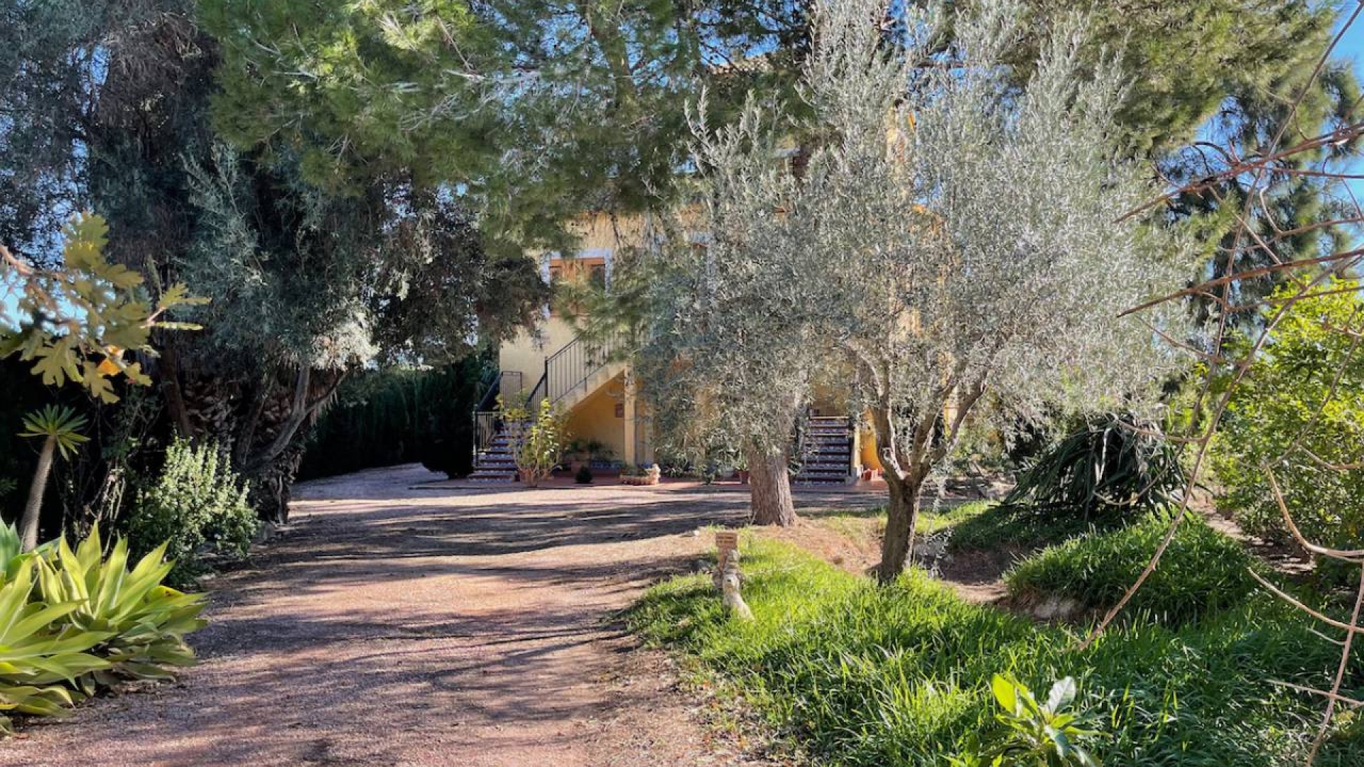 Revente - Country Property - Daya Nueva