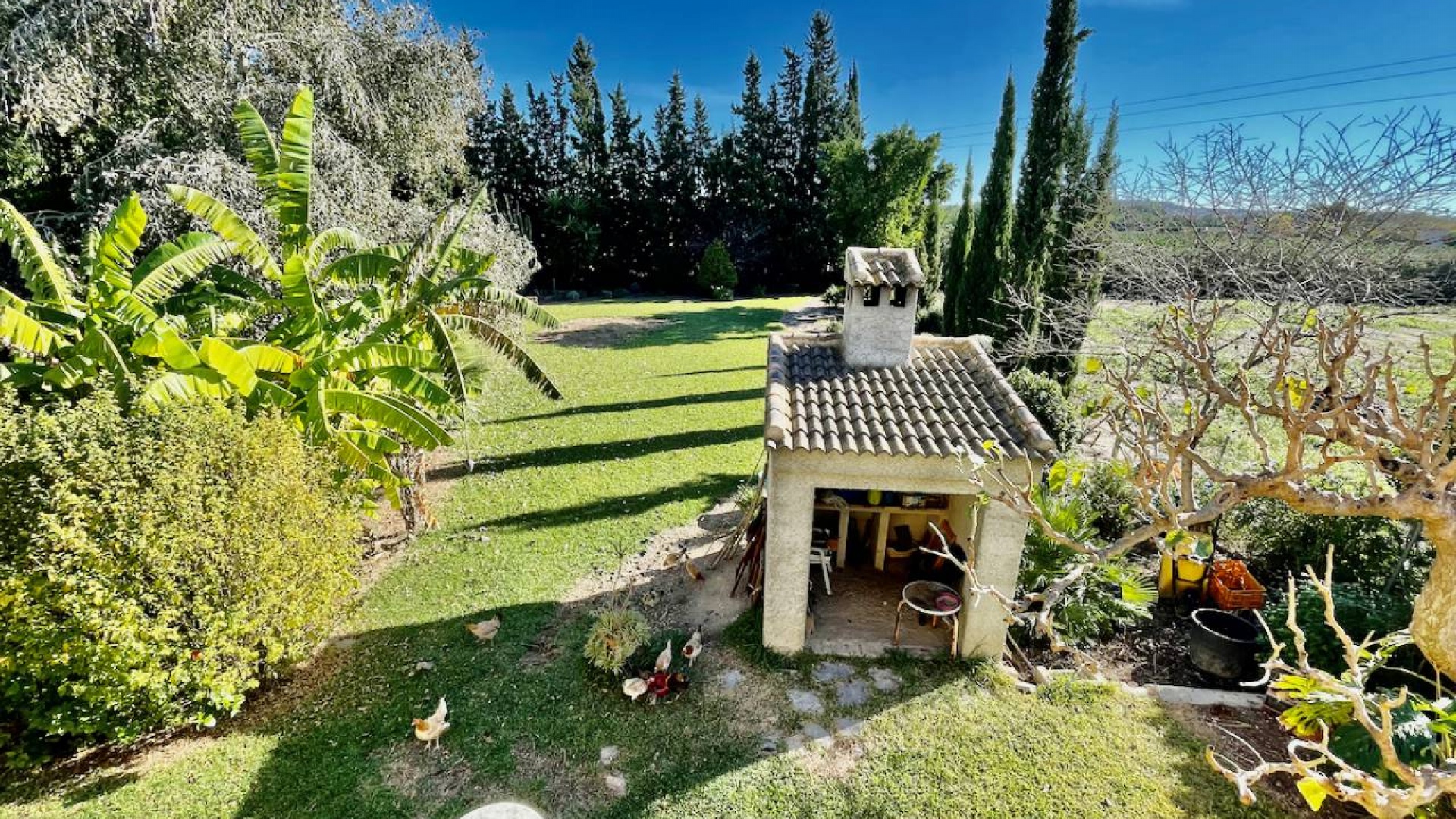 Revente - Country Property - Daya Nueva