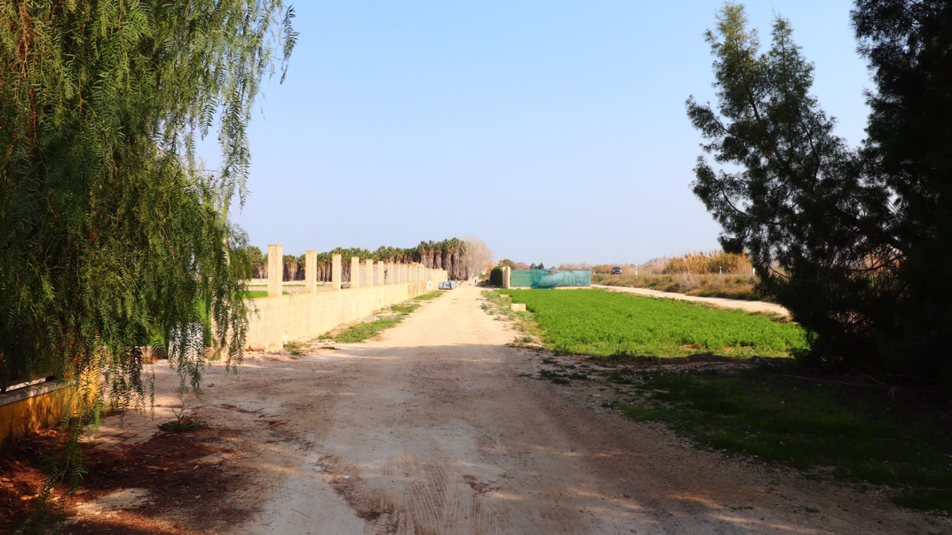 Revente - Country Property - Daya Vieja - Daya Vieja - Country