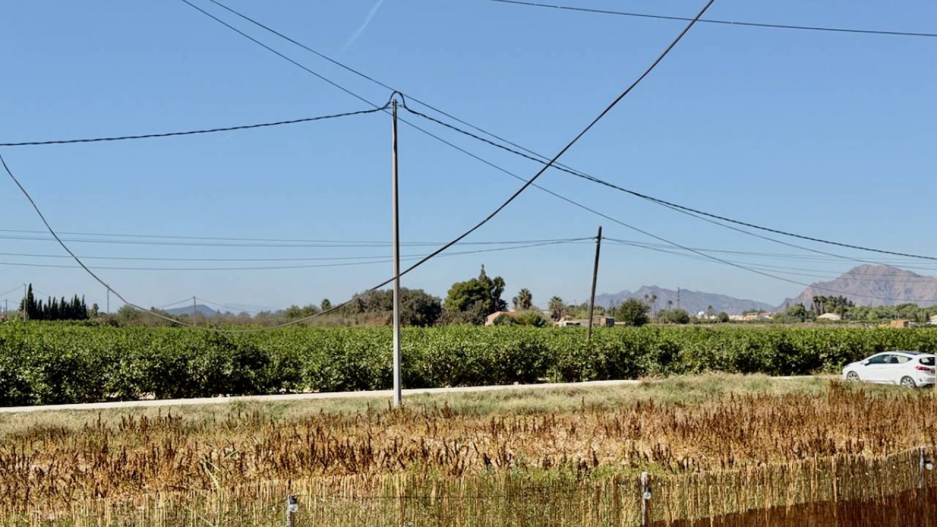 Revente - Country Property - Dolores - Comunidad Valenciana