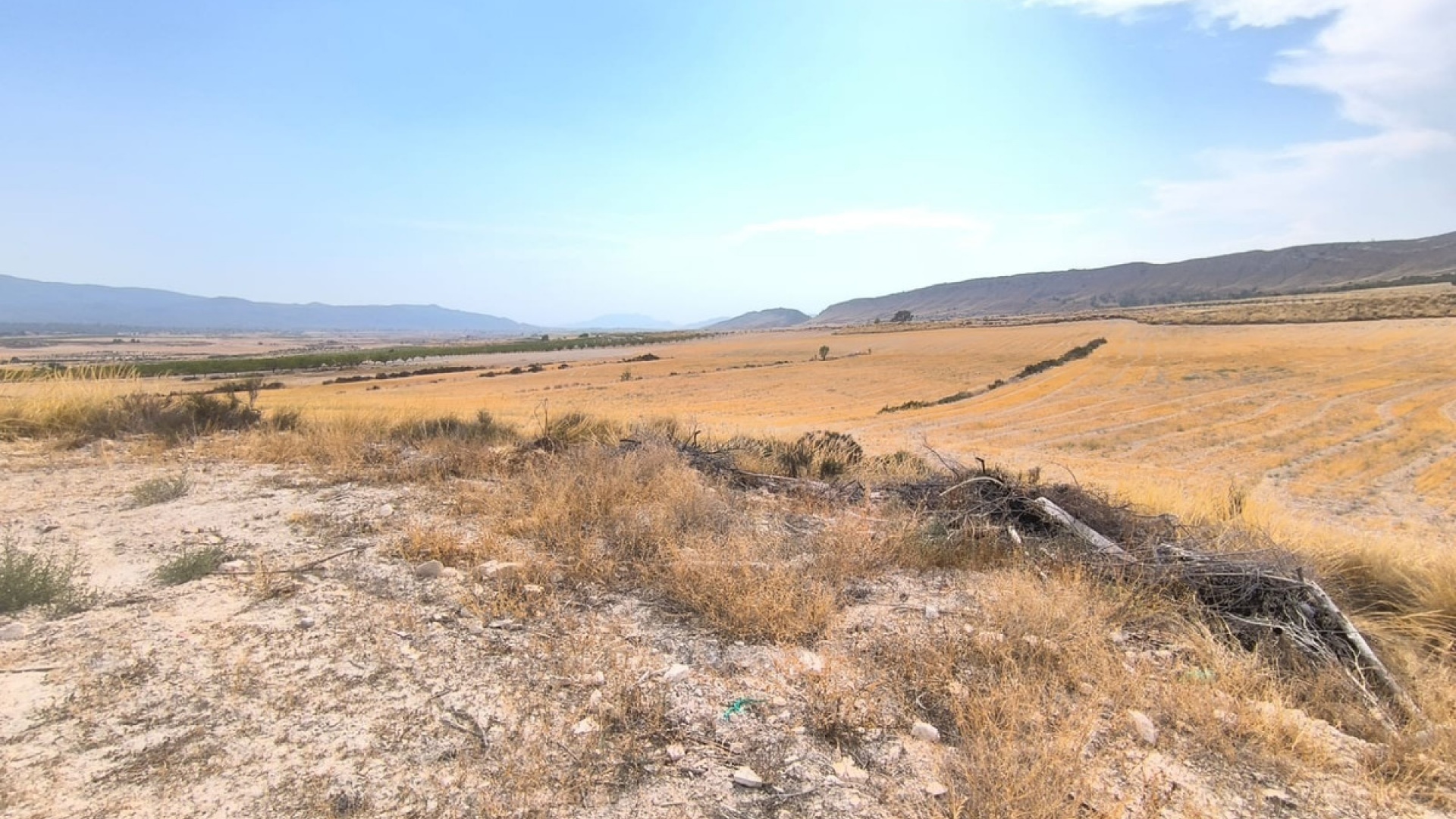 Revente - Country Property - Jumilla - Jumilla Centro