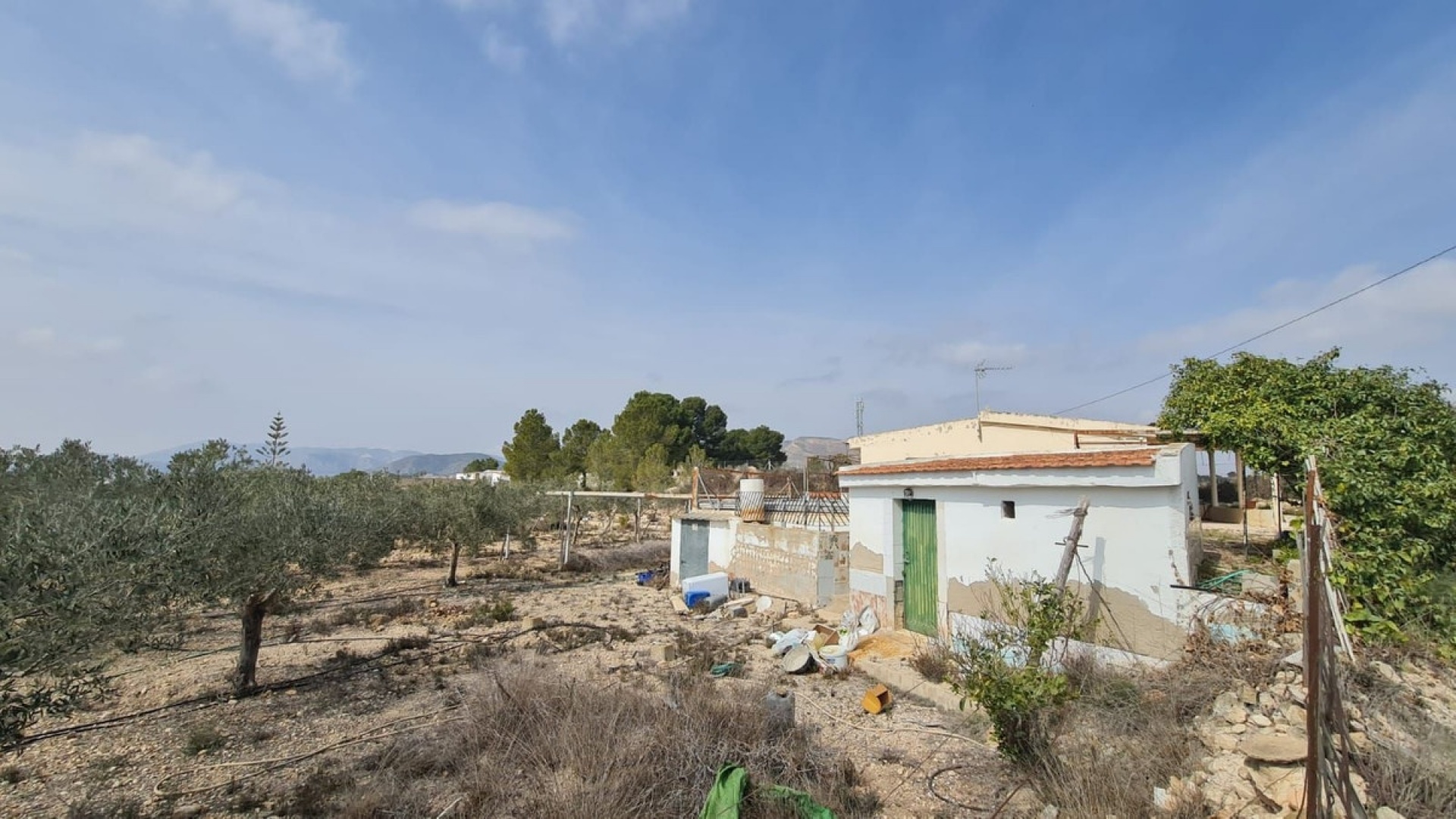 Revente - Country Property - La Romana - La Romana Centro