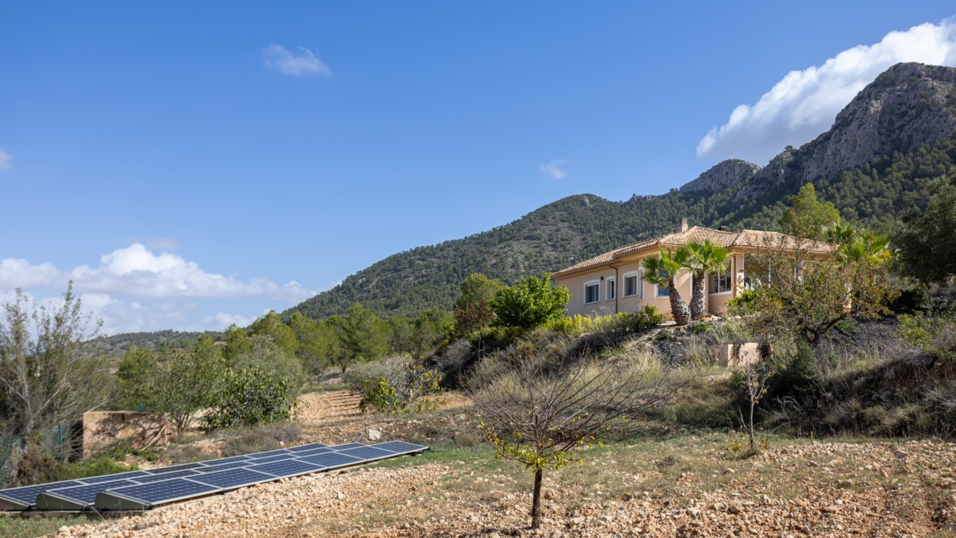 Revente - Country Property - La Zarza - La Zarza Murcia