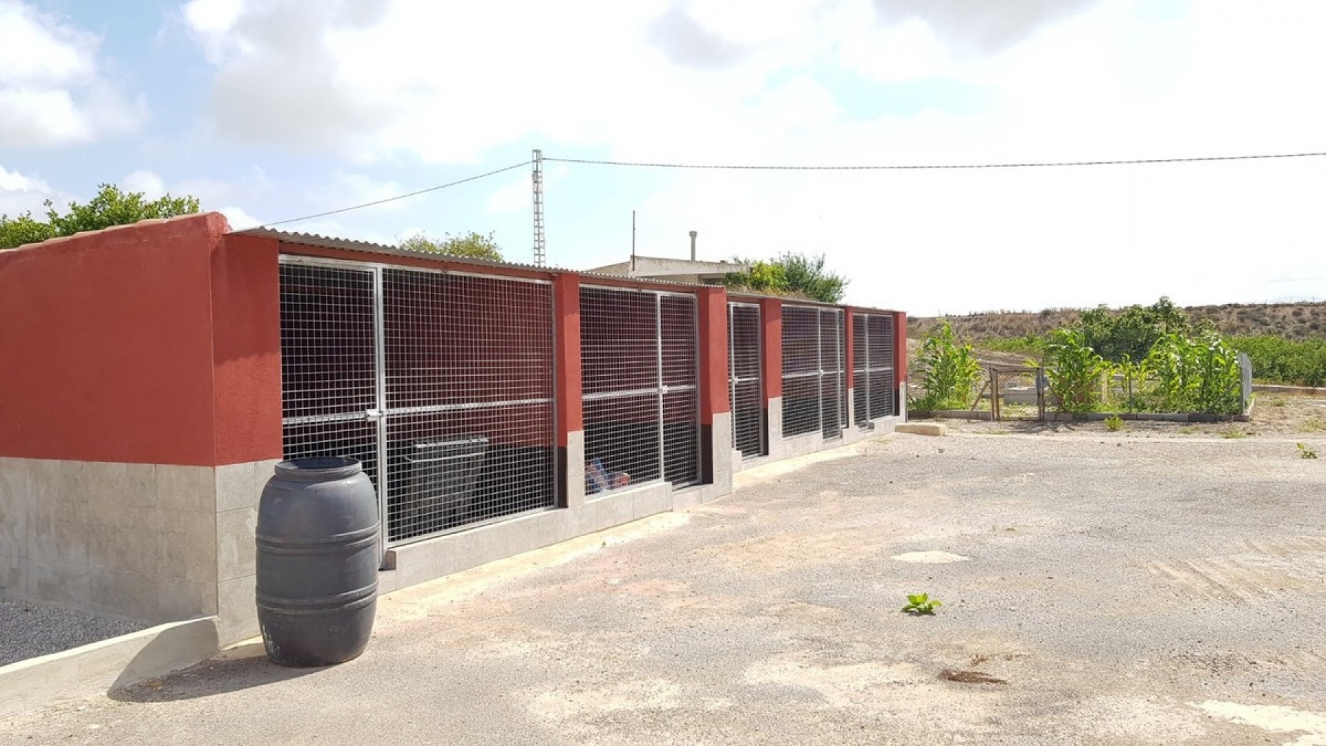 Revente - Country Property - Los Montesinos - Los Montesinos Centro