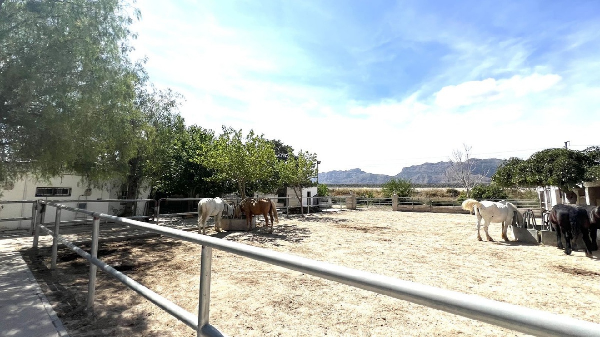 Revente - Country Property - Orihuela - Orihuela Centro