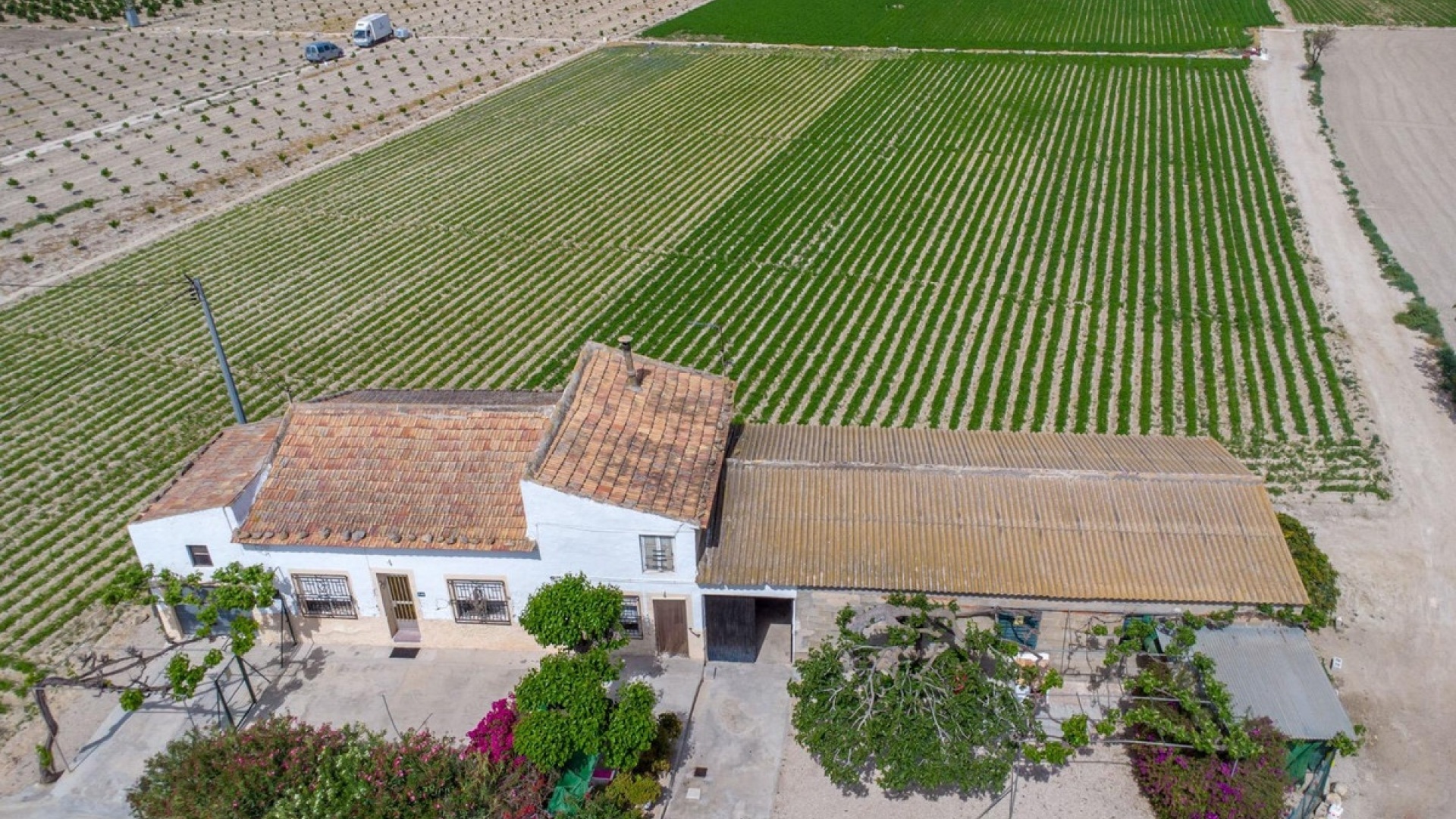 Revente - Country Property - Orihuela - Orihuela Centro