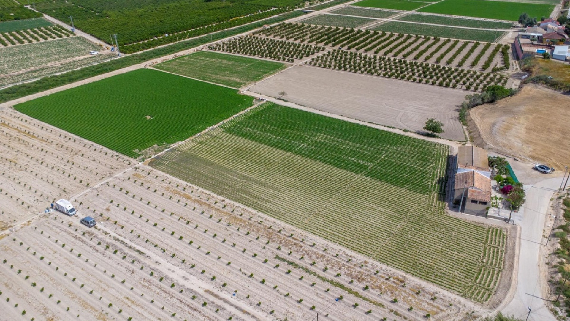 Revente - Country Property - Orihuela - Orihuela Centro