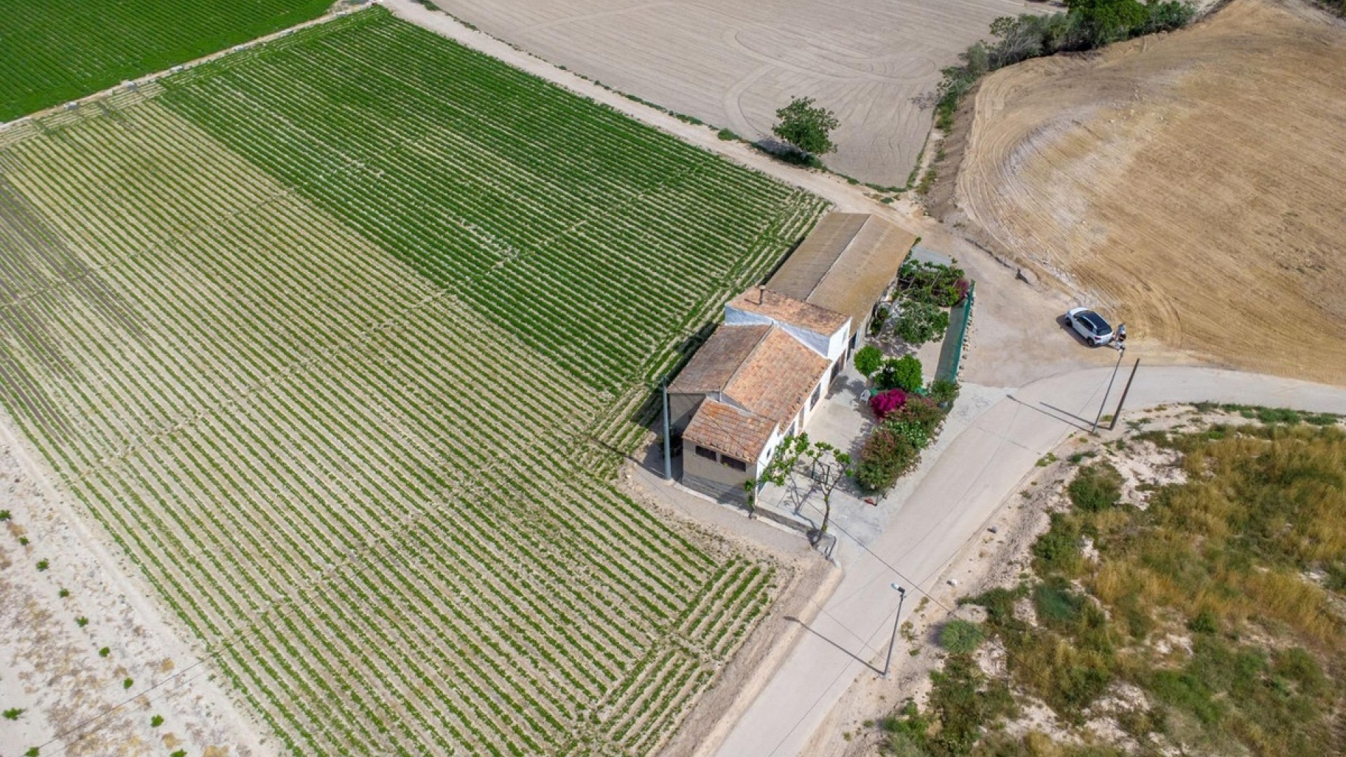 Revente - Country Property - Orihuela - Orihuela Centro