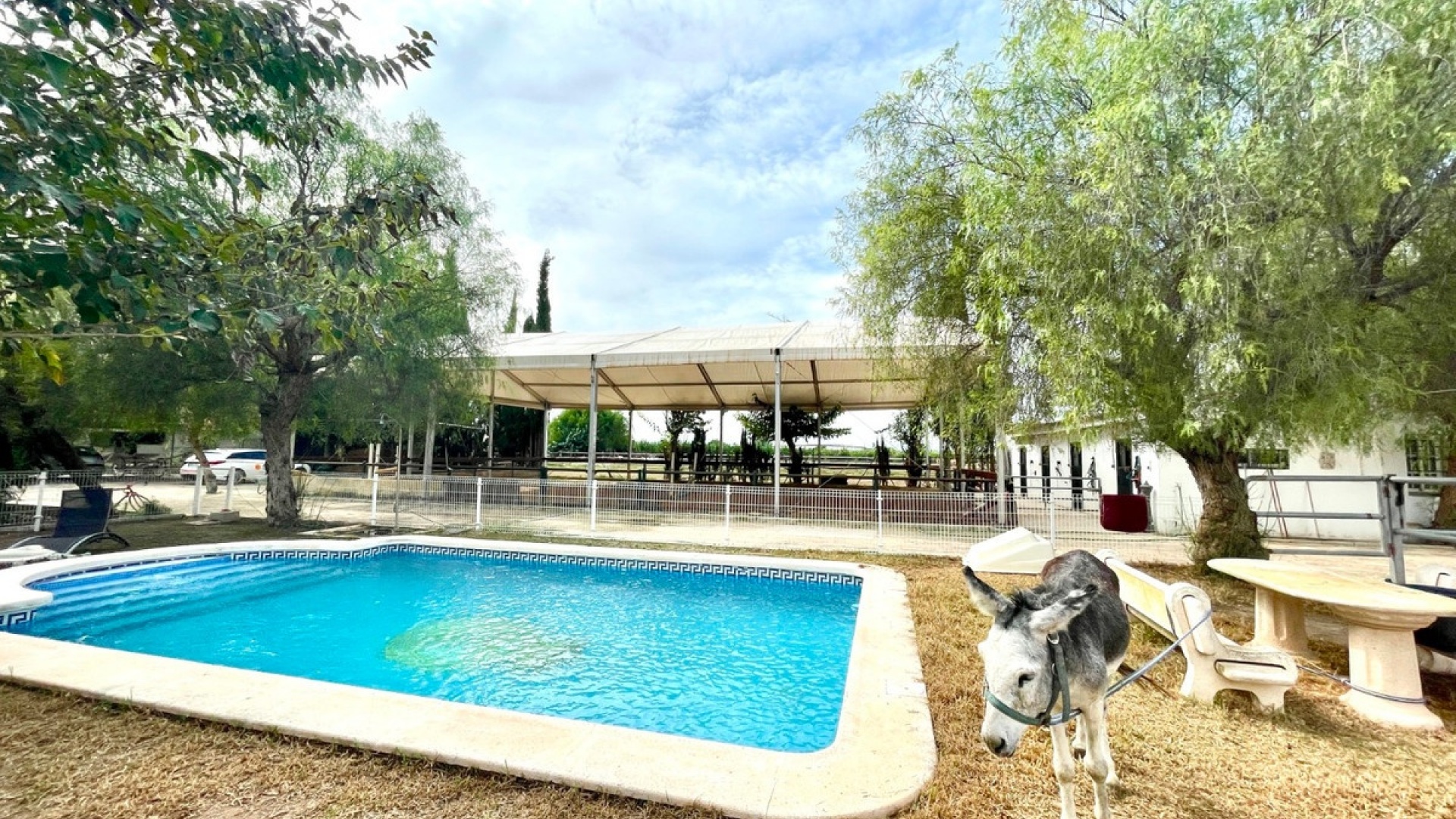 Revente - Country Property - Orihuela - Orihuela Centro