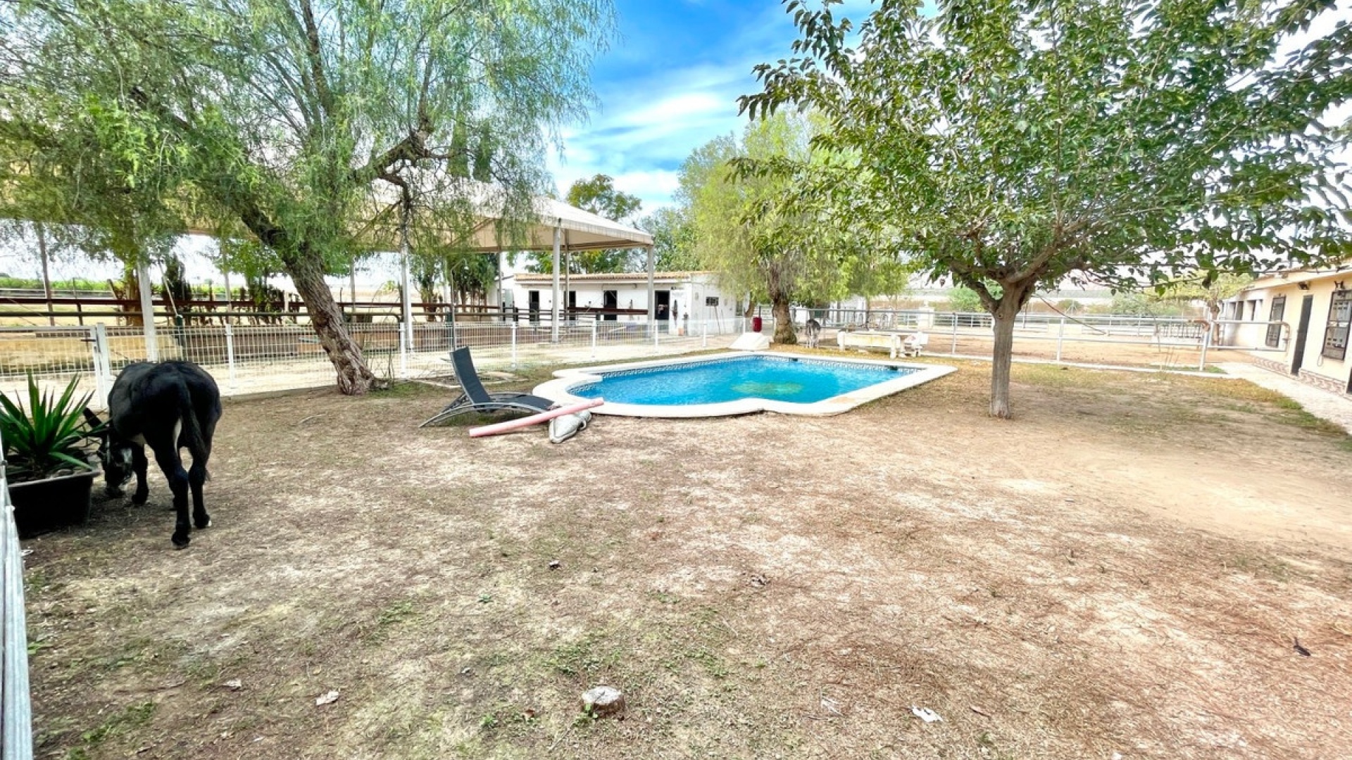 Revente - Country Property - Orihuela - Orihuela Centro