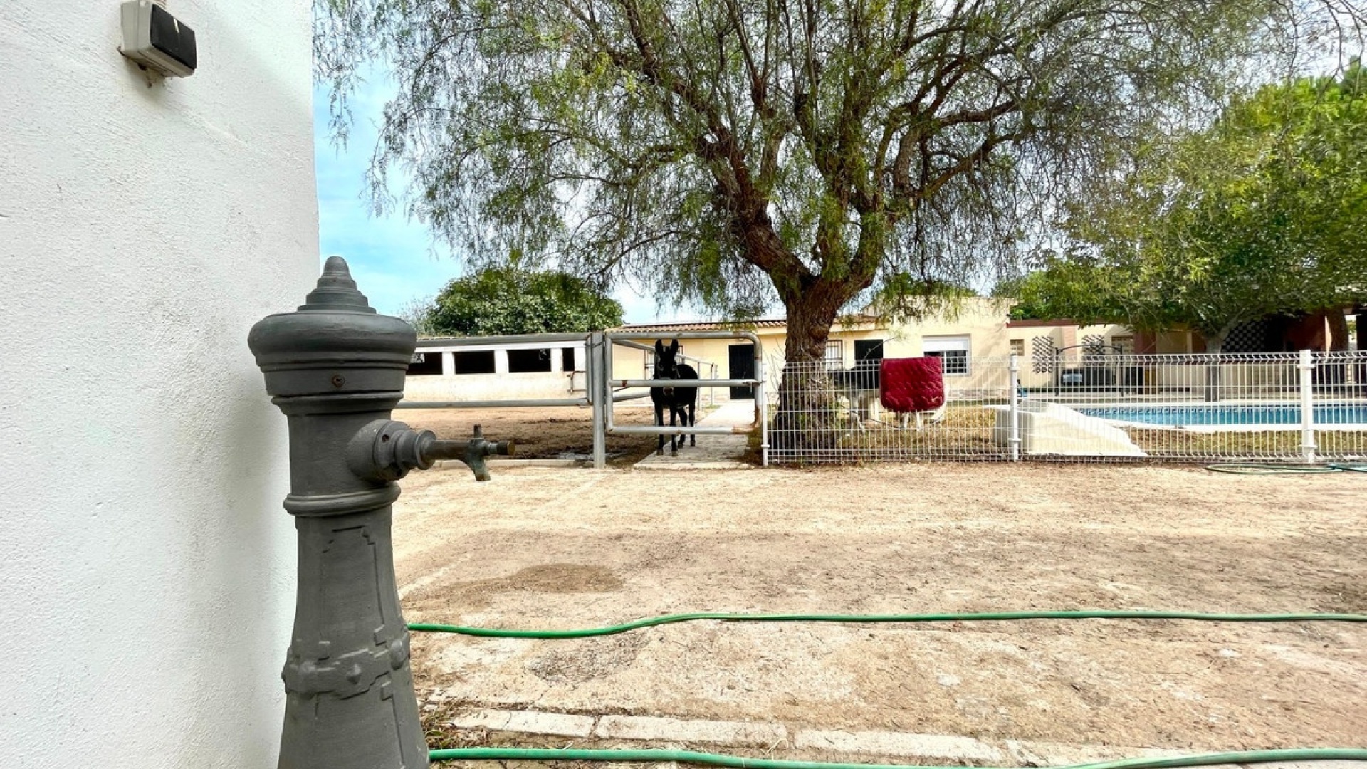 Revente - Country Property - Orihuela - Orihuela Centro