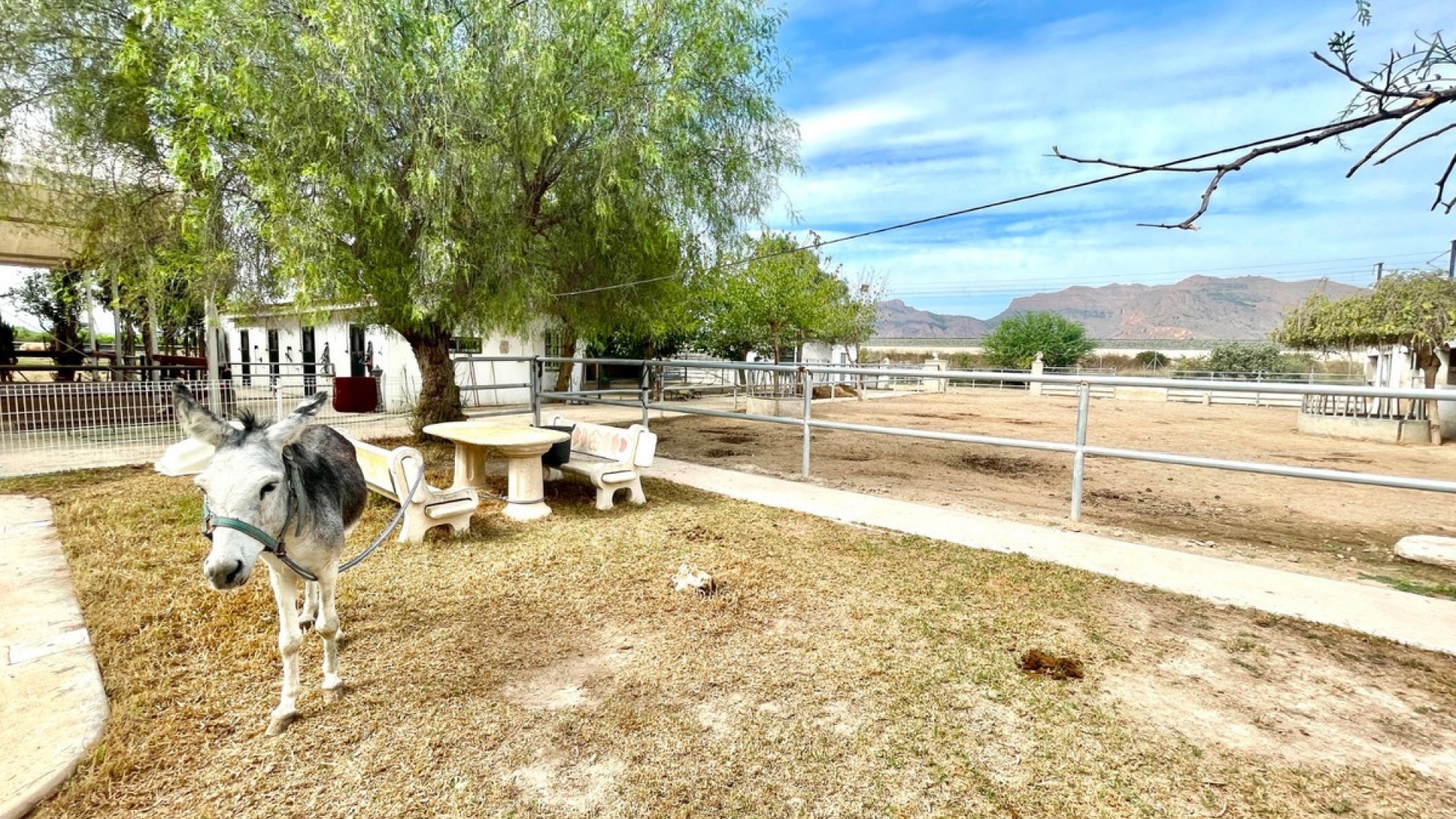 Revente - Country Property - Orihuela - Orihuela Centro