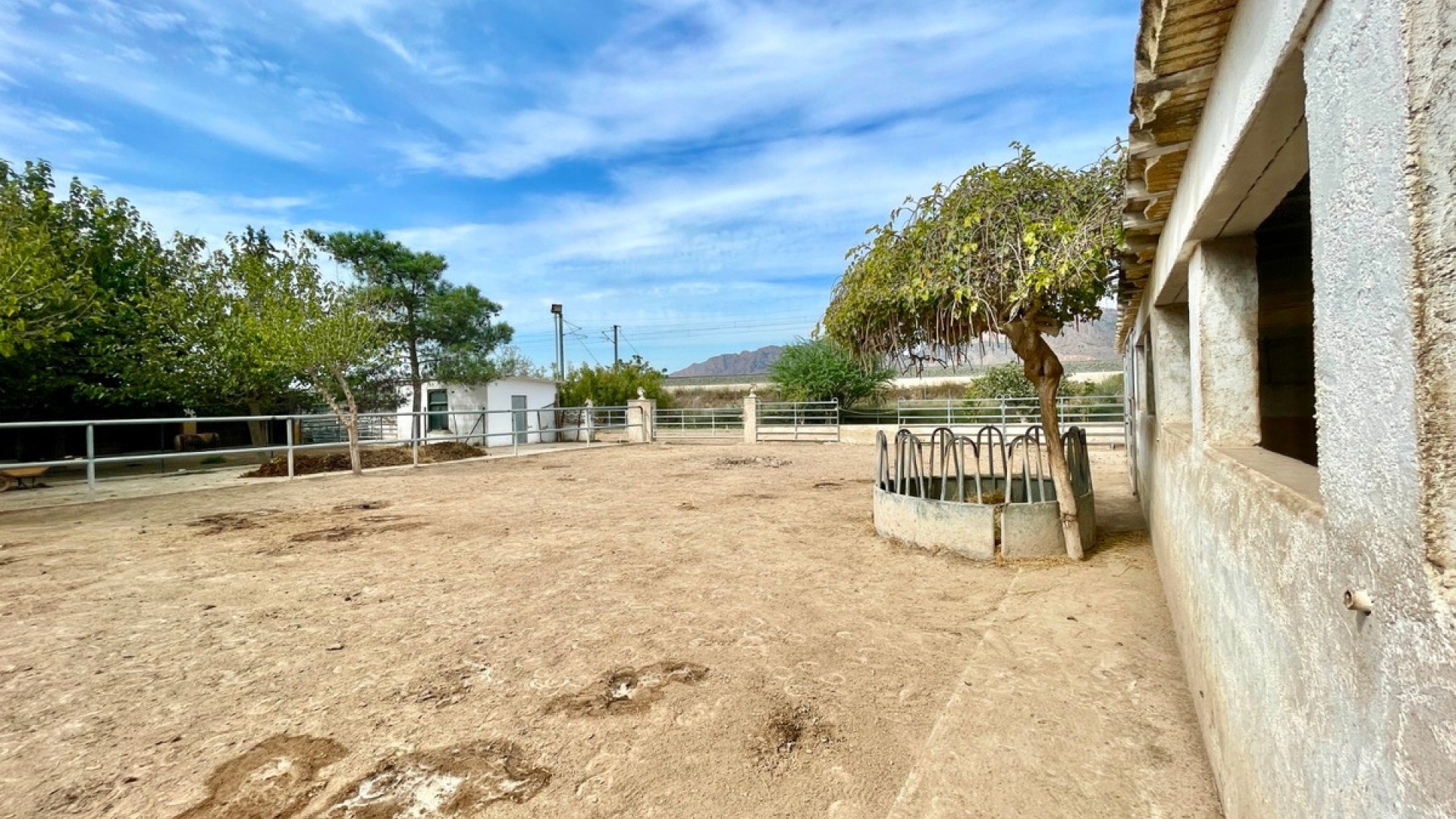 Revente - Country Property - Orihuela - Orihuela Centro